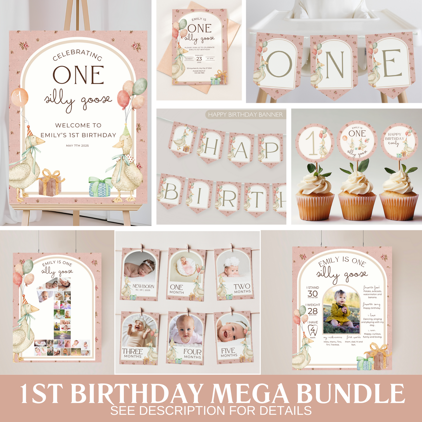 One Silly Goose Birthday Bundle Vintage Floral