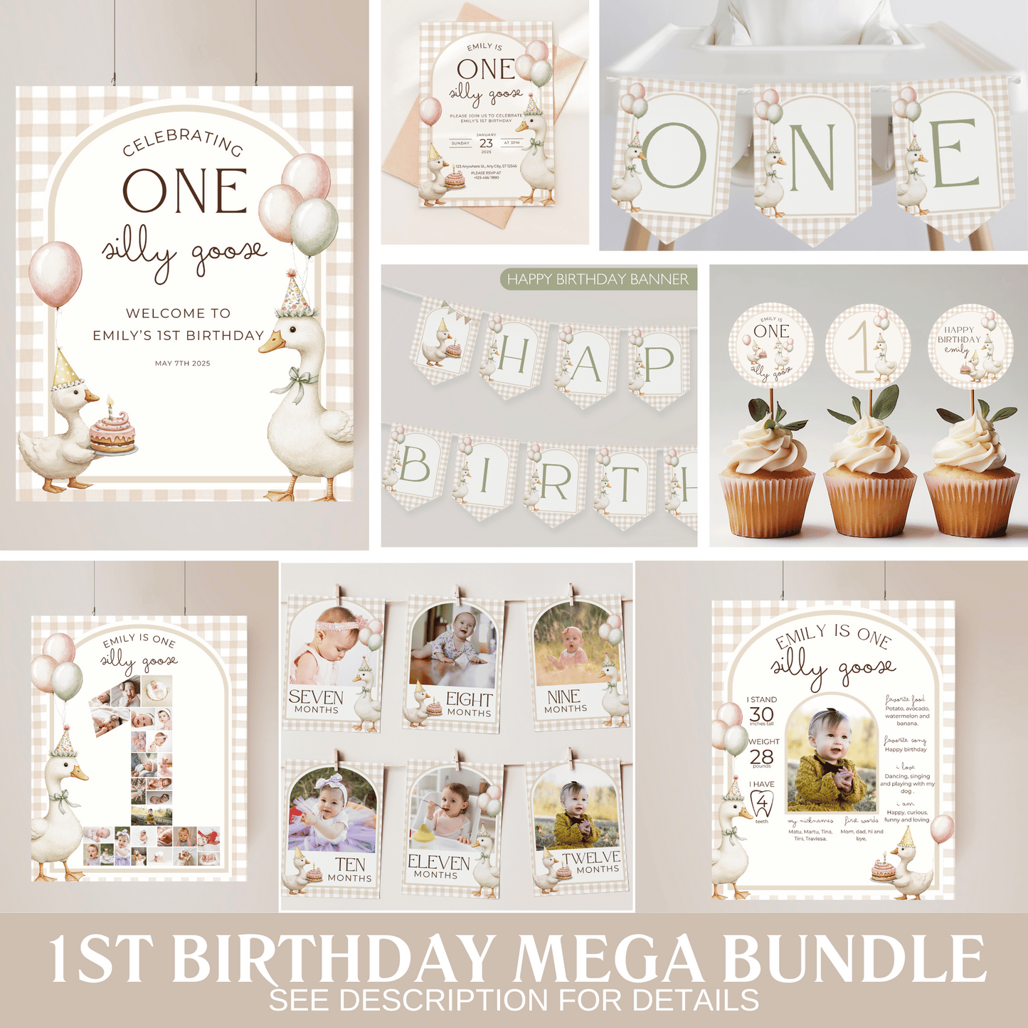 One Silly Goose Birthday Bundle