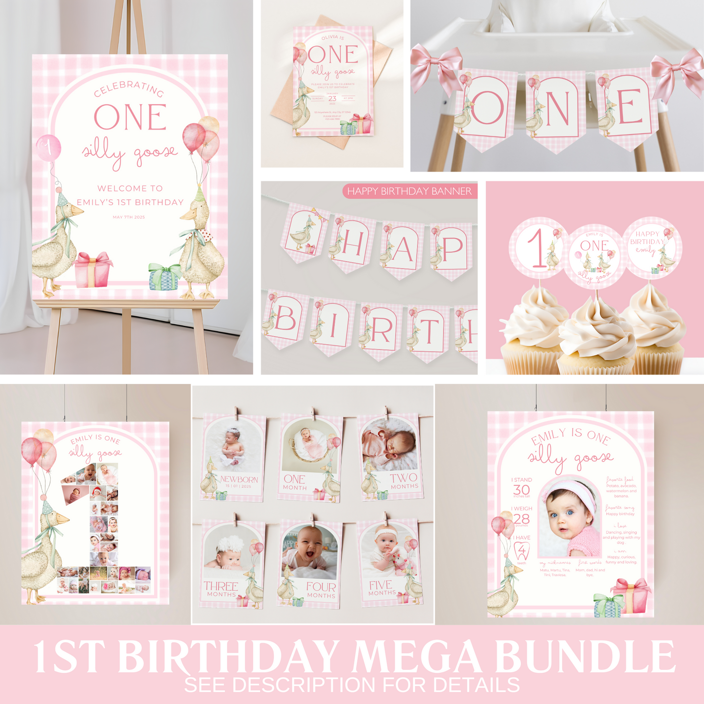 One Silly Goose Birthday Bundle Pink Gingham