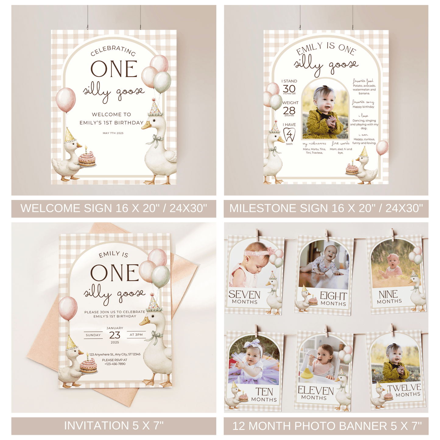 One Silly Goose Birthday Bundle