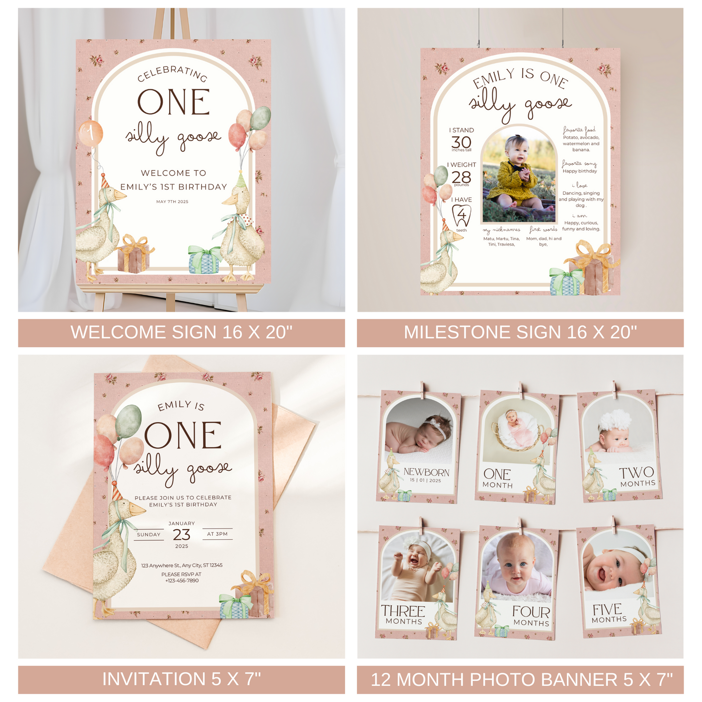 One Silly Goose Birthday Bundle Vintage Floral