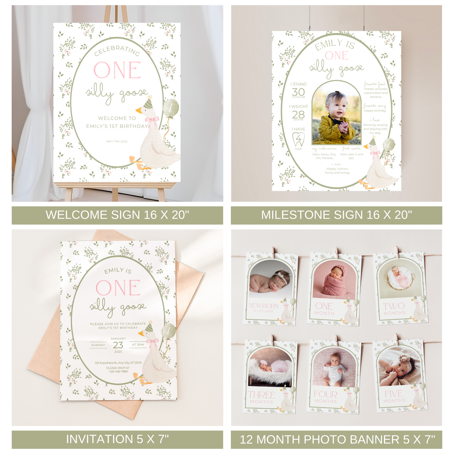 Floral One Silly Goose Birthday Bundle