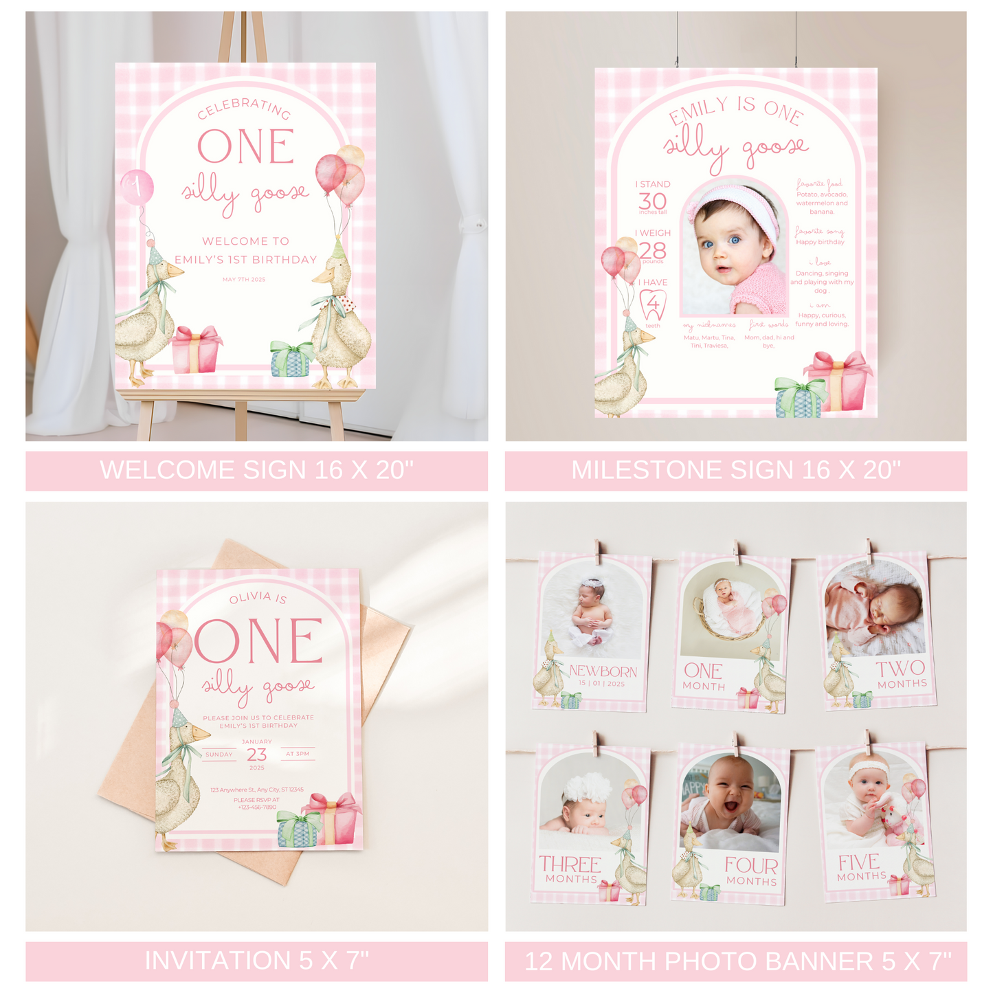 One Silly Goose Birthday Bundle Pink Gingham