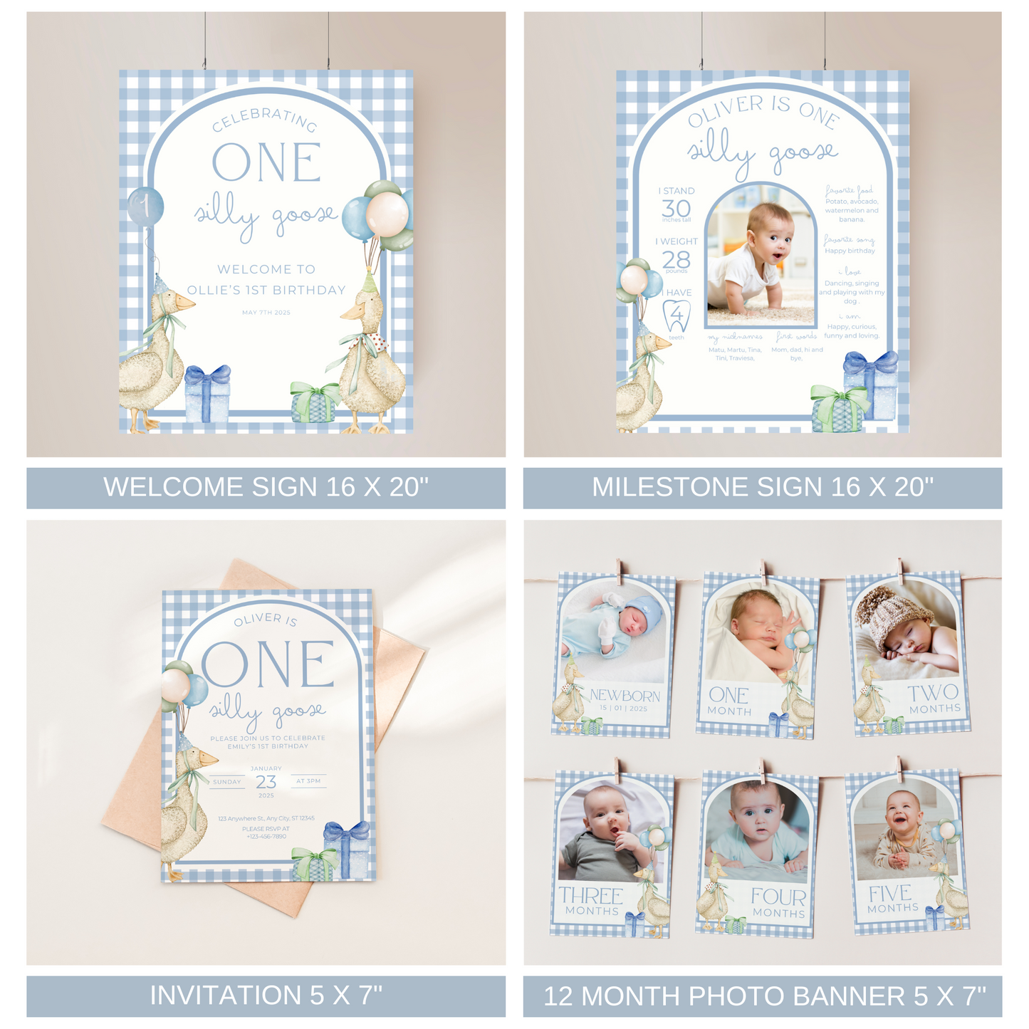 One Silly Goose Birthday Bundle Blue Gingham