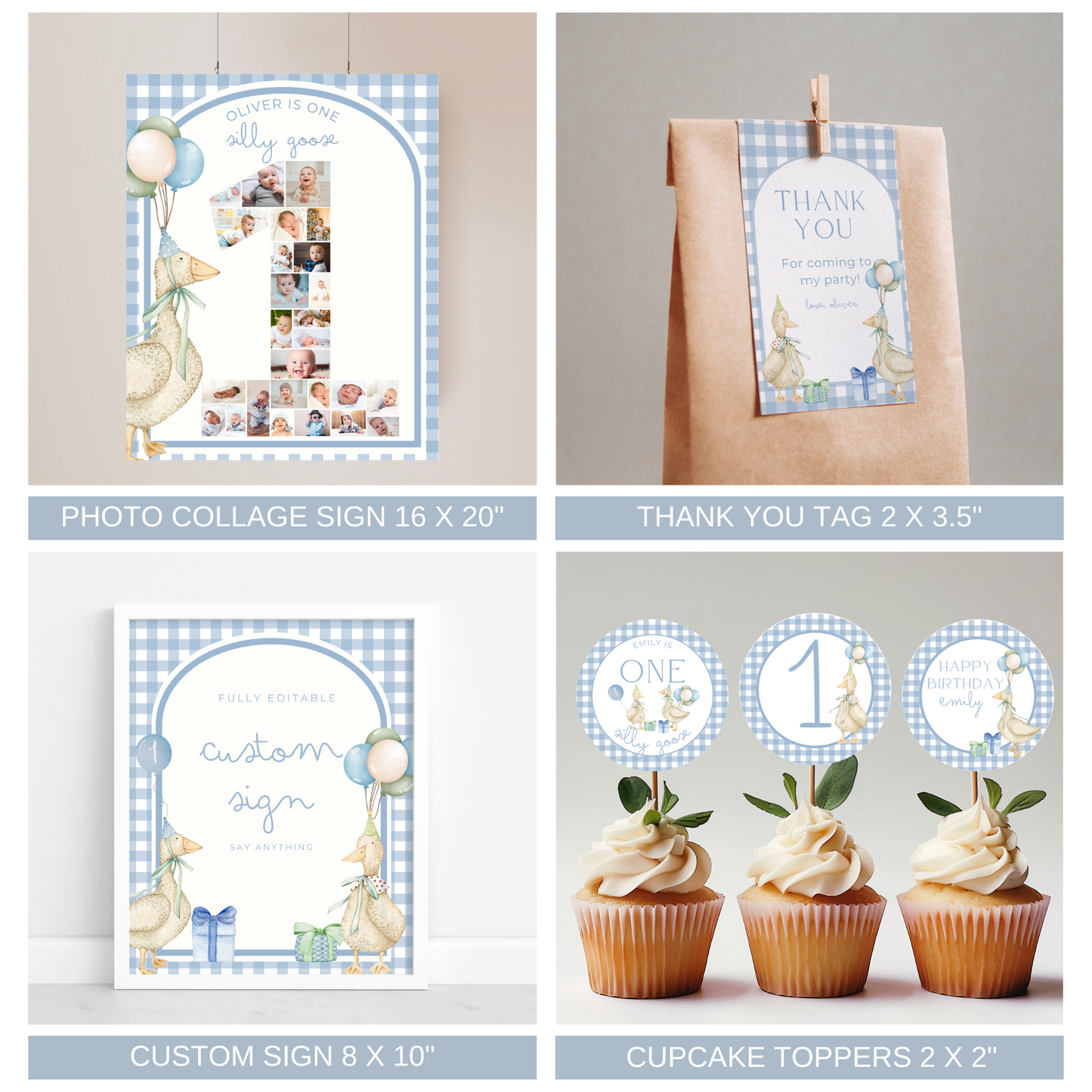 One Silly Goose Birthday Bundle Blue Gingham