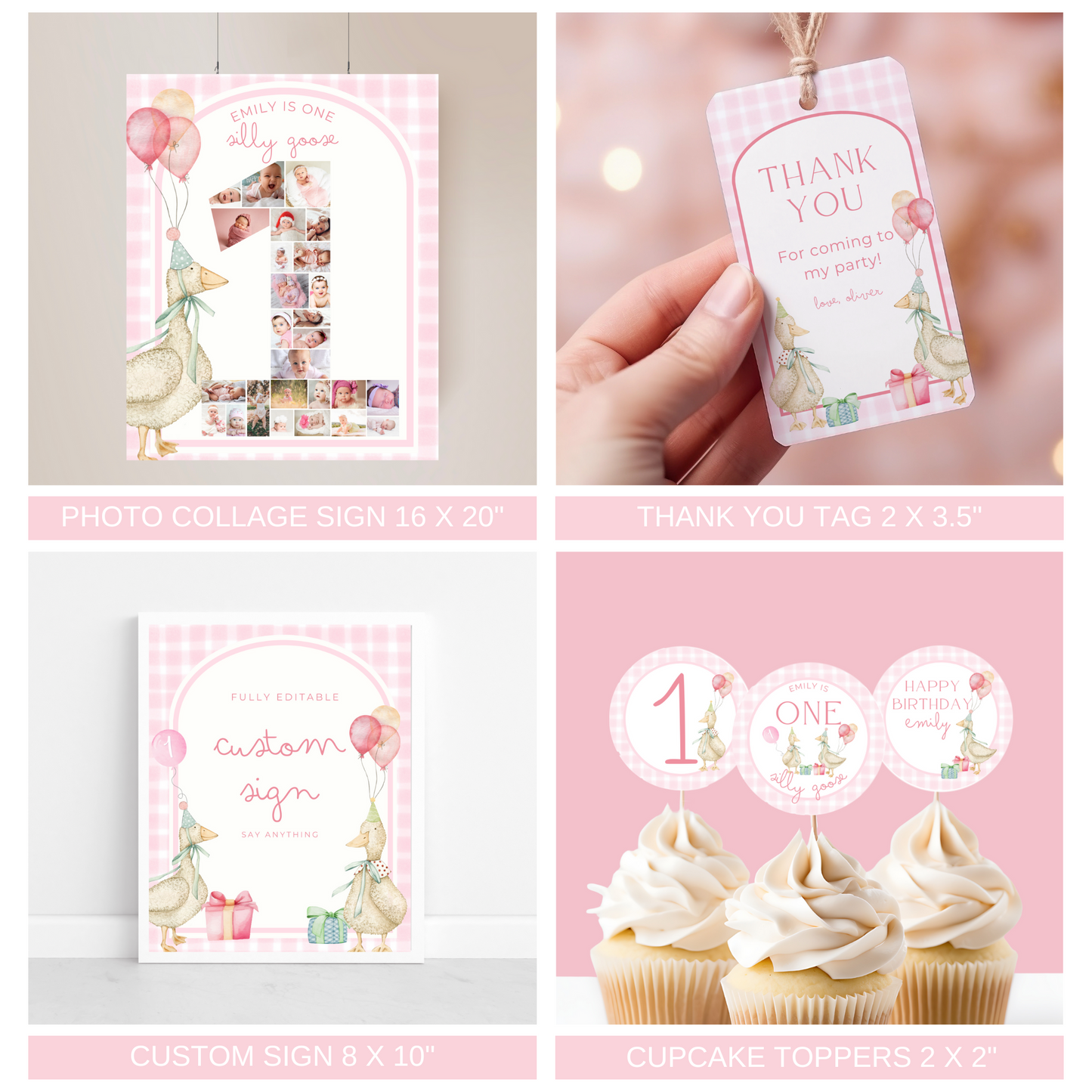 One Silly Goose Birthday Bundle Pink Gingham