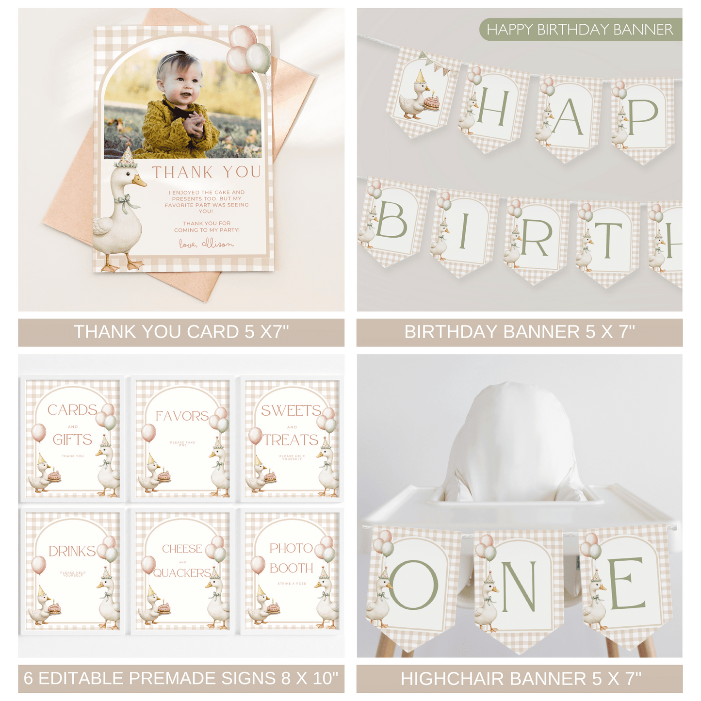 One Silly Goose Birthday Bundle