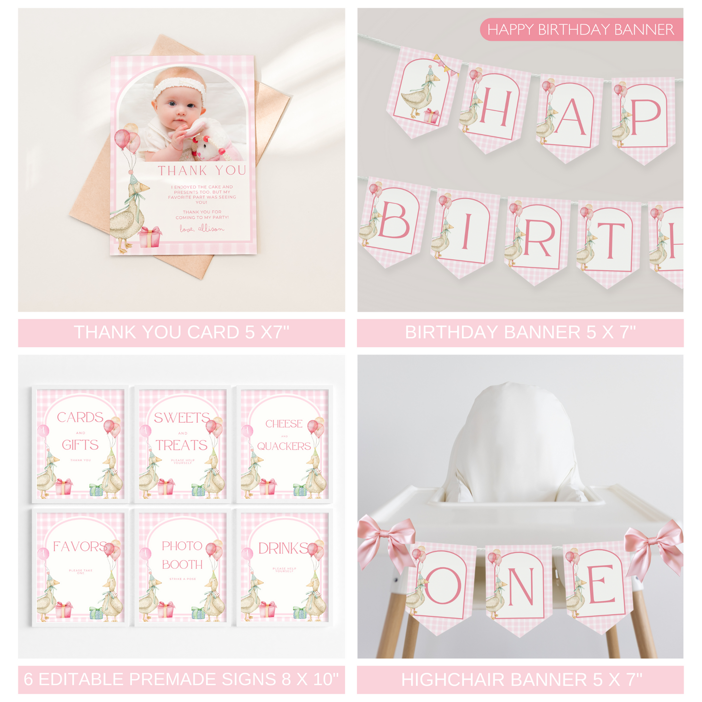 One Silly Goose Birthday Bundle Pink Gingham