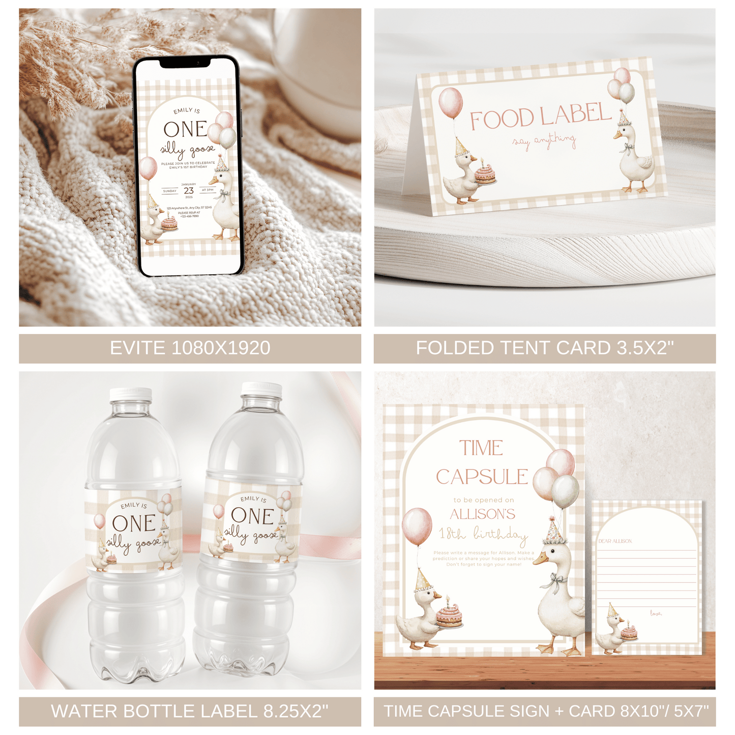 One Silly Goose Birthday Bundle
