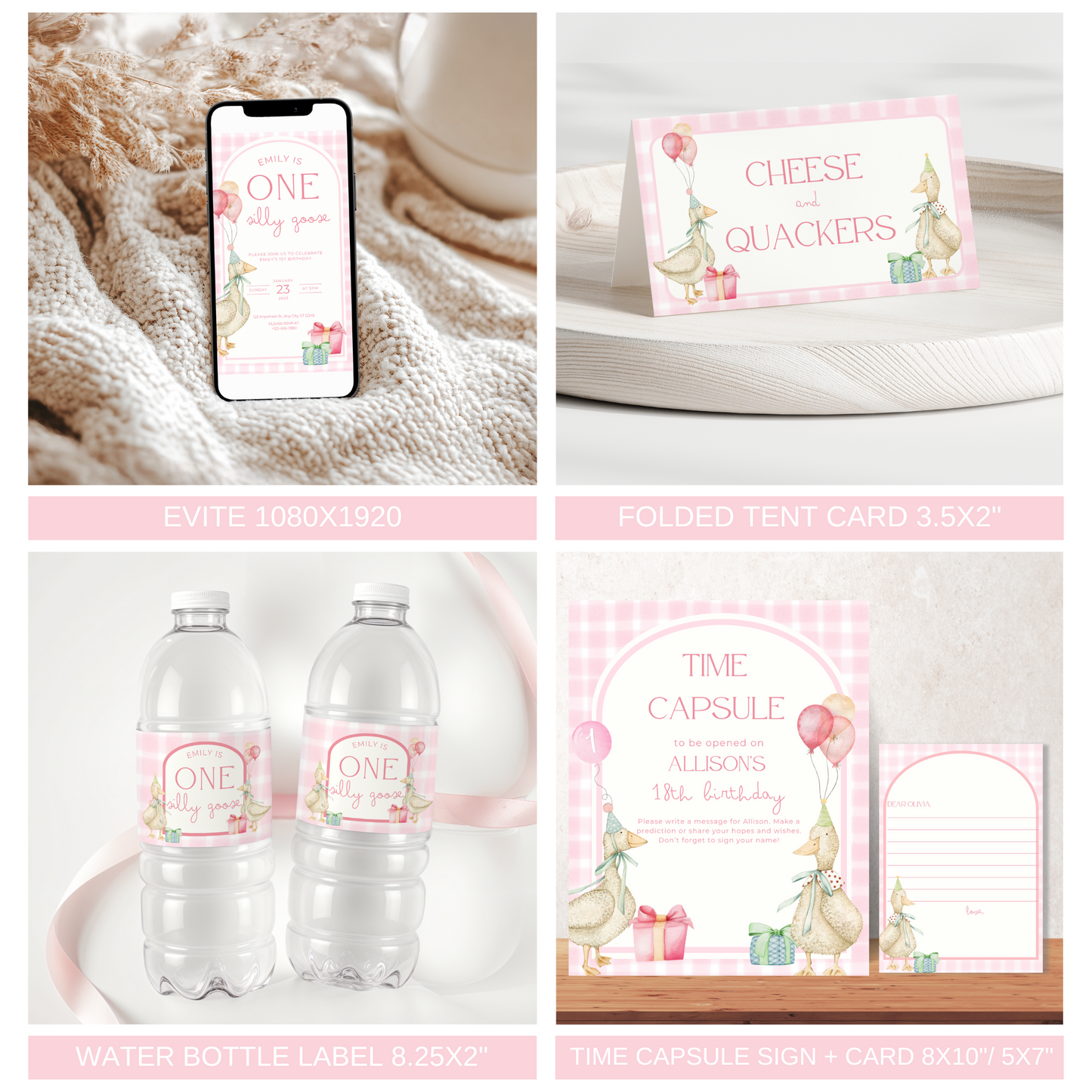 One Silly Goose Birthday Bundle Pink Gingham