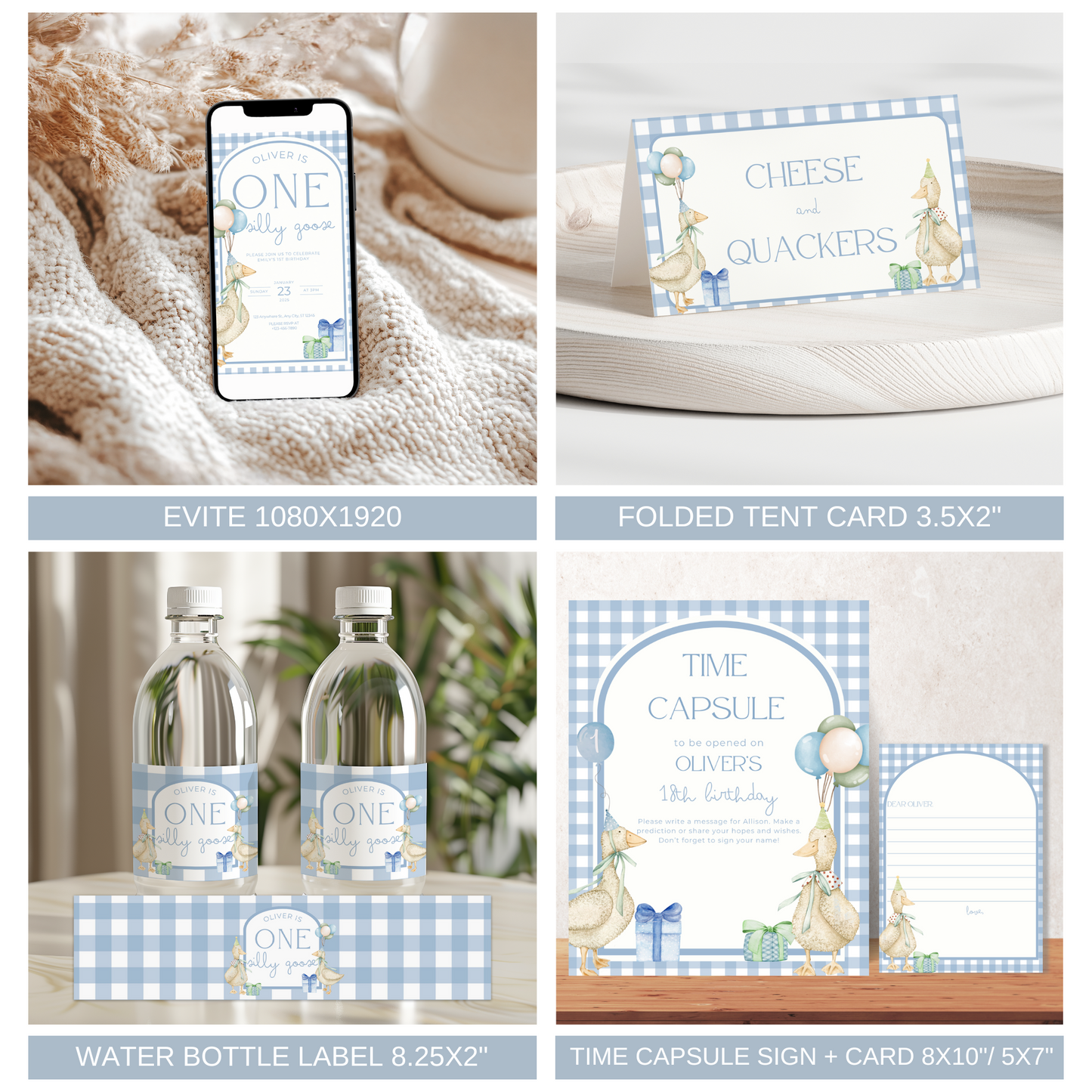 One Silly Goose Birthday Bundle Blue Gingham
