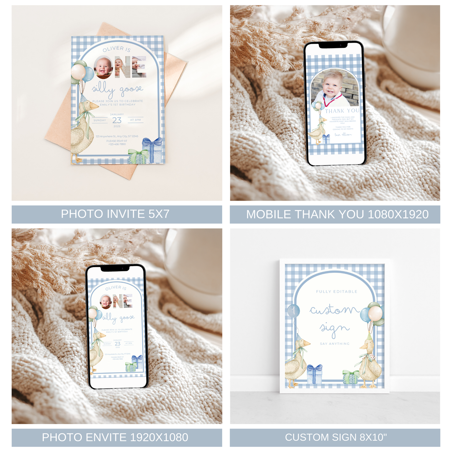 One Silly Goose Birthday Bundle Blue Gingham
