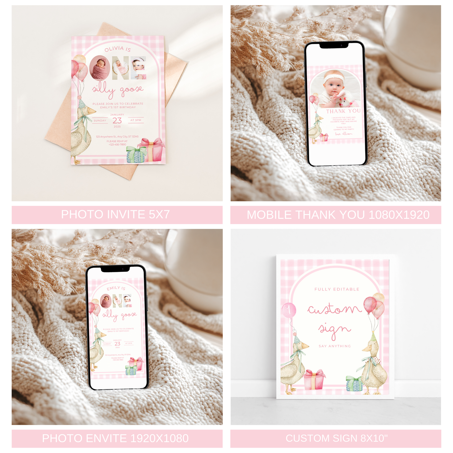 One Silly Goose Birthday Bundle Pink Gingham
