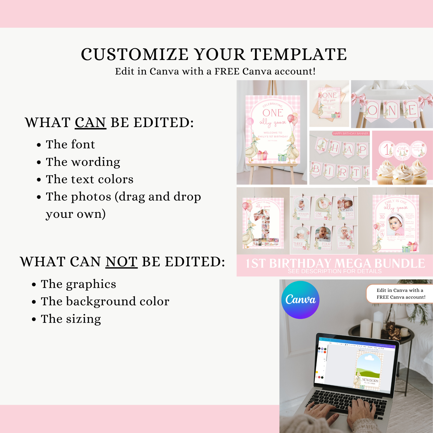 One Silly Goose Birthday Bundle Pink Gingham