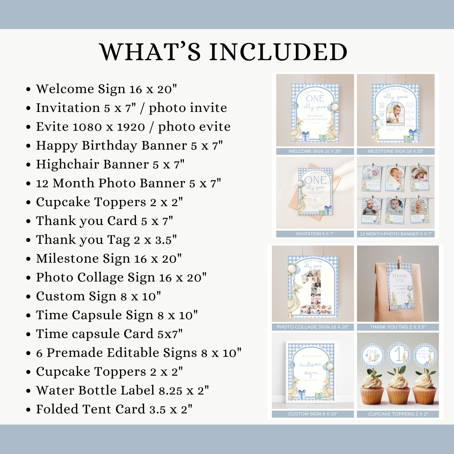 One Silly Goose Birthday Bundle Blue Gingham