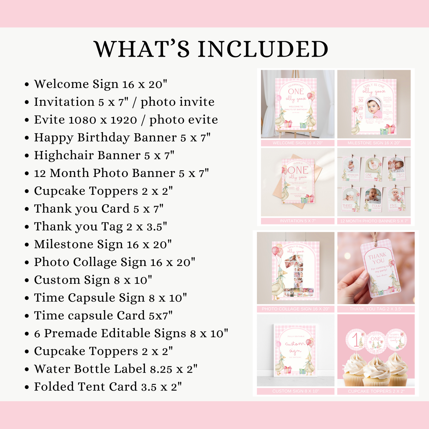 One Silly Goose Birthday Bundle Pink Gingham