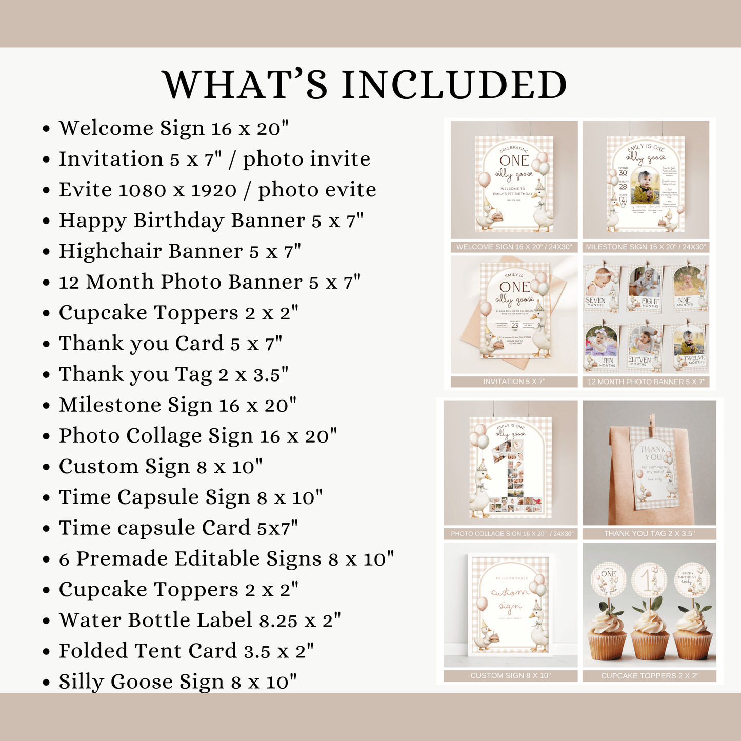 One Silly Goose Birthday Bundle
