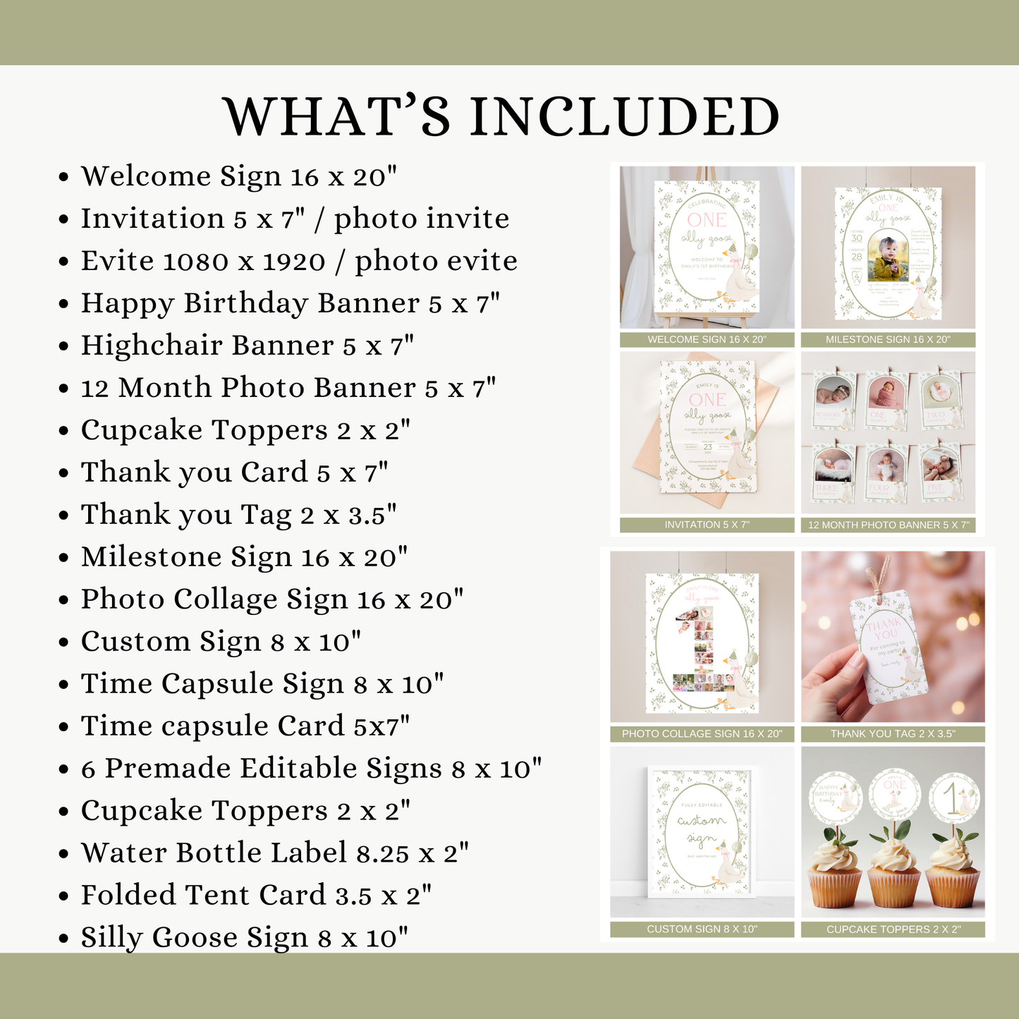 Floral One Silly Goose Birthday Bundle
