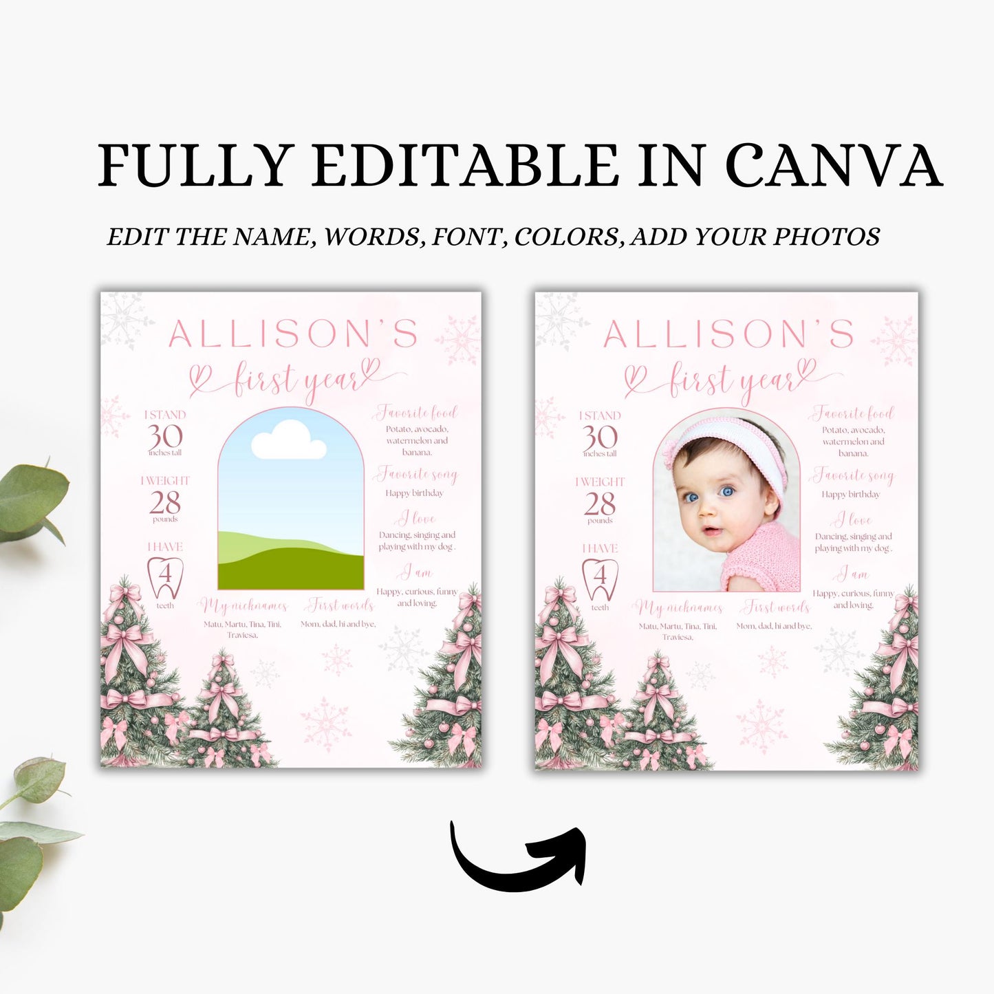 Winter Onederland 1st Birthday Sign, Winter Onederland Birthday Girl Decorations, Milestone Birthday Poster, Editable Template Digital File