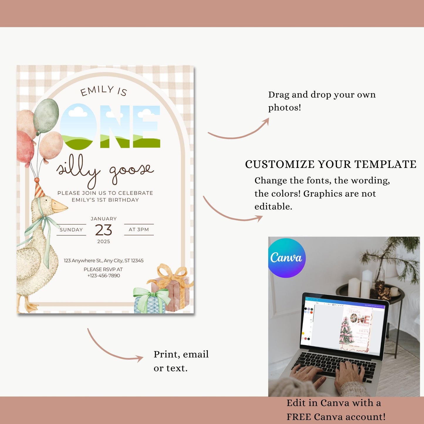 Silly Goose Birthday, 1St Birthday Invite, Digital Invite, Silly Goose Party, Editable Template, Silly Goose Theme, Canva Template, Girl 1St Birthday, First Birthday Party, Goose 1St Birthday, Boy First Birthday, Girl One Silly Goose Instant Download
