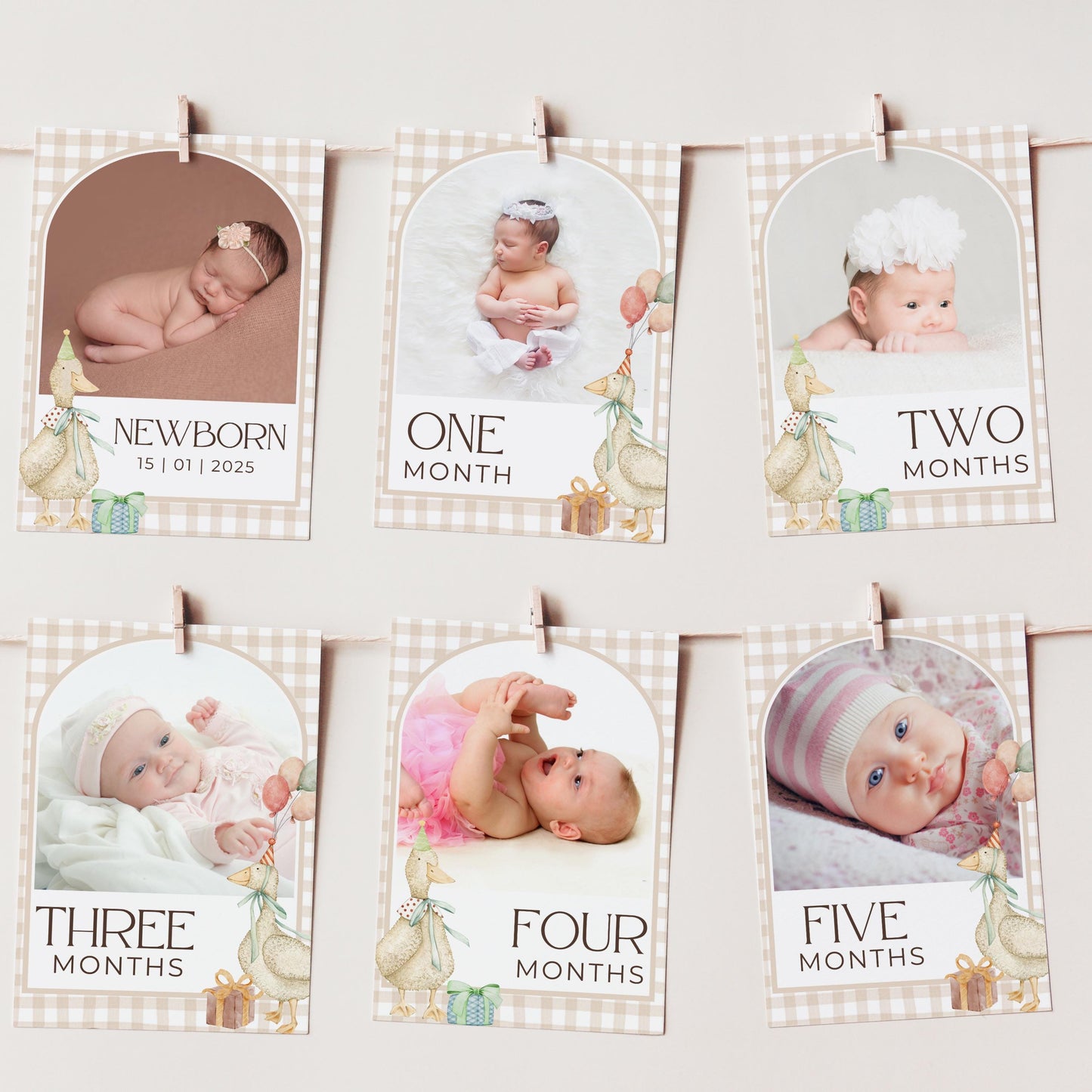 One Silly Goose Birthday Photo Milestone Banner Goose 1st Birthday Bunting Banner Editable Template Monthly Milestone Photo Collage Decor