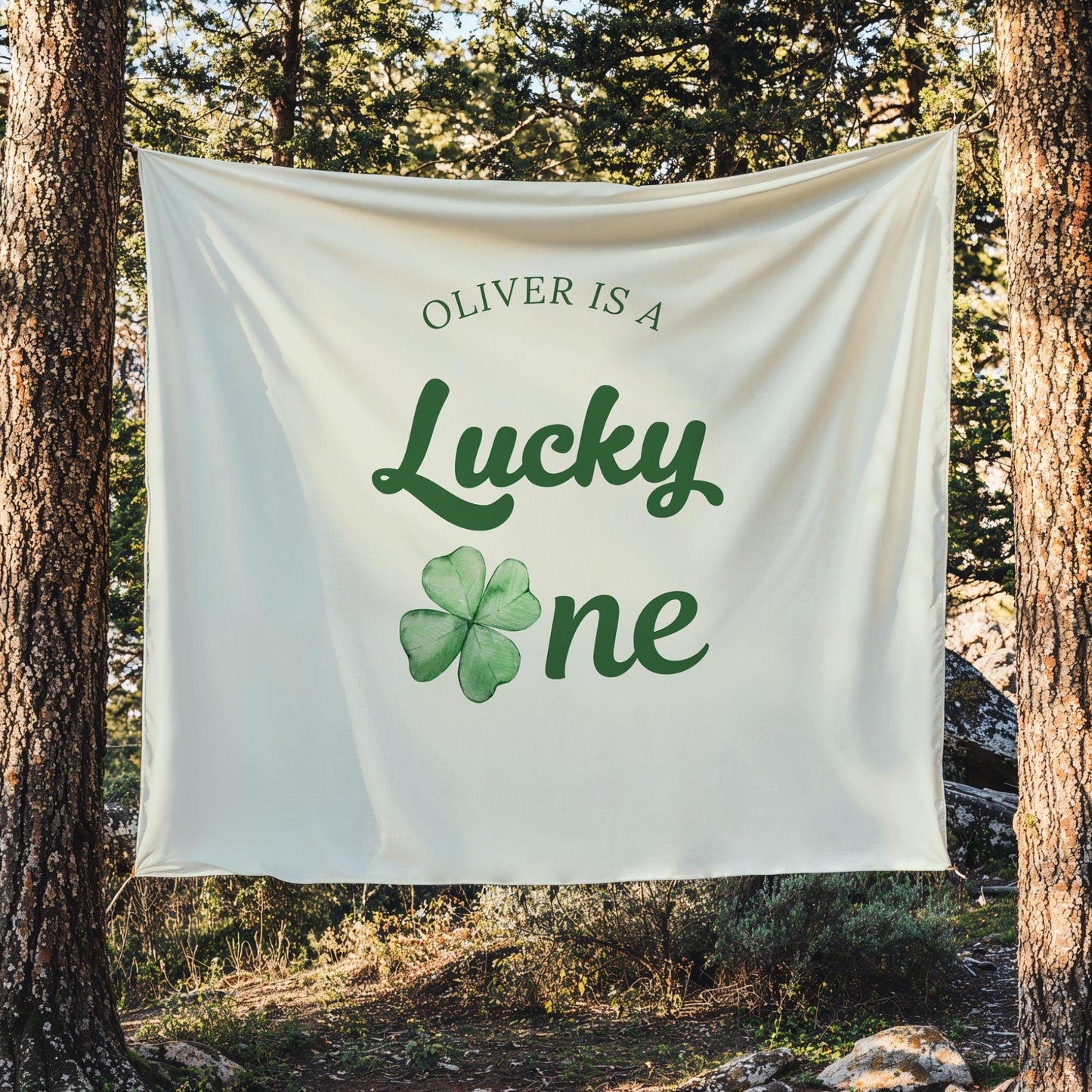 Lucky One Birthday Personalized Banner 1st Birthday St. Patricks Birthday Party Decor Photo Backdrop Shamrock Custom Banner First Birthday