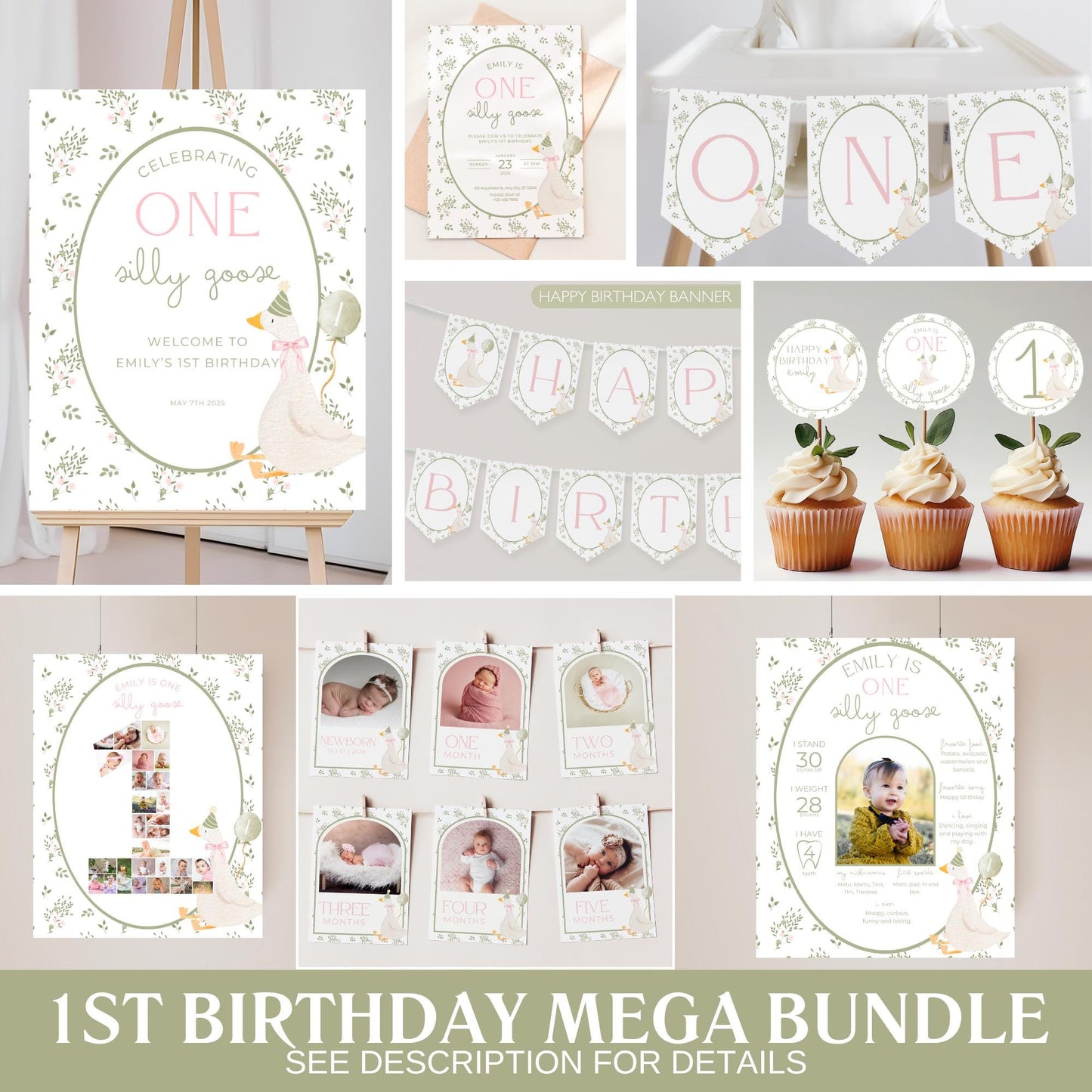 One Silly Goose Birthday High Chair Banner Goose 1st Birthday Vintage floral Birthday decor Silly Little Goose Birthday Sign Cake Smash