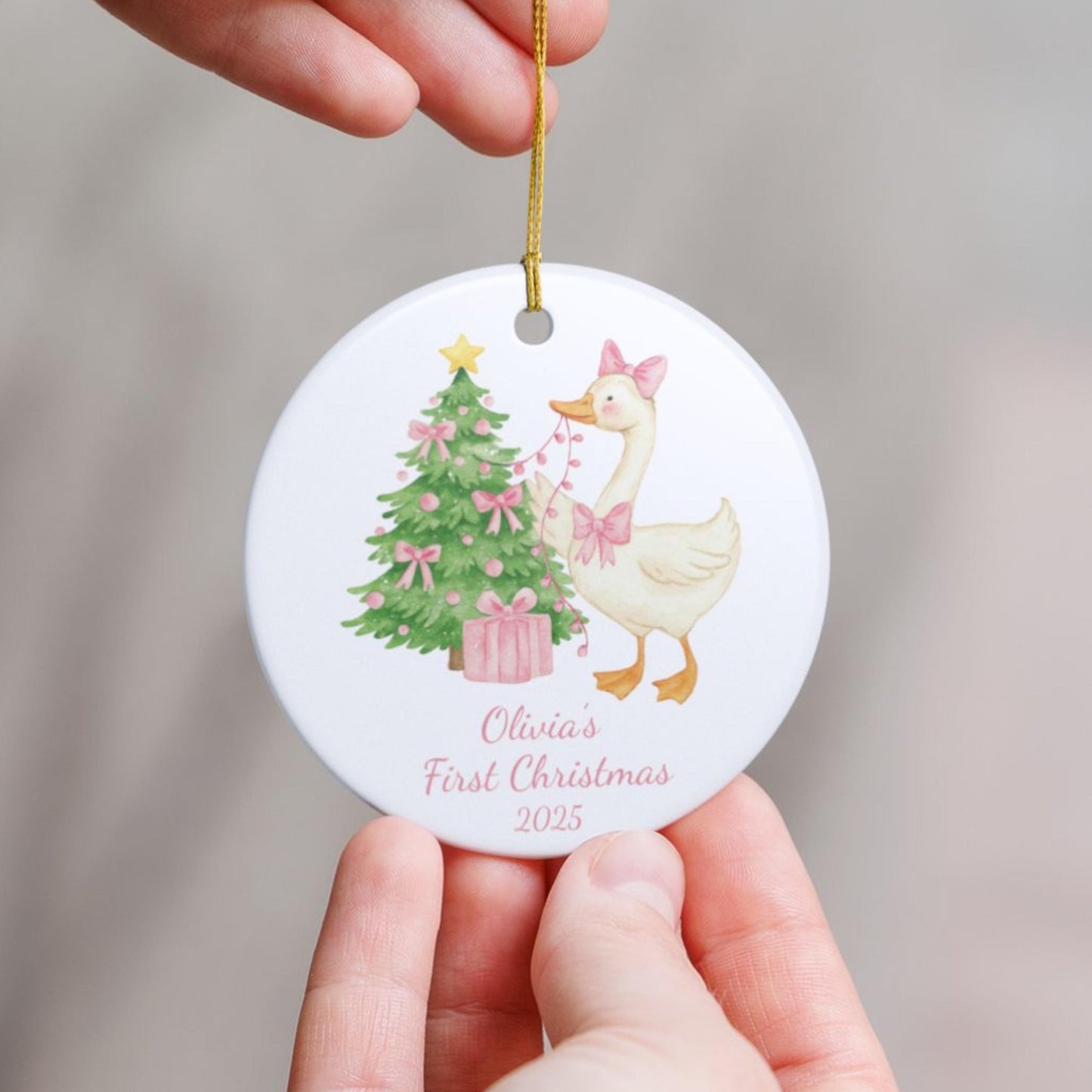 Silly Goose First Christmas Ornament, Personalized Gift for Baby's First Xmas, Adorable Family Keepsake