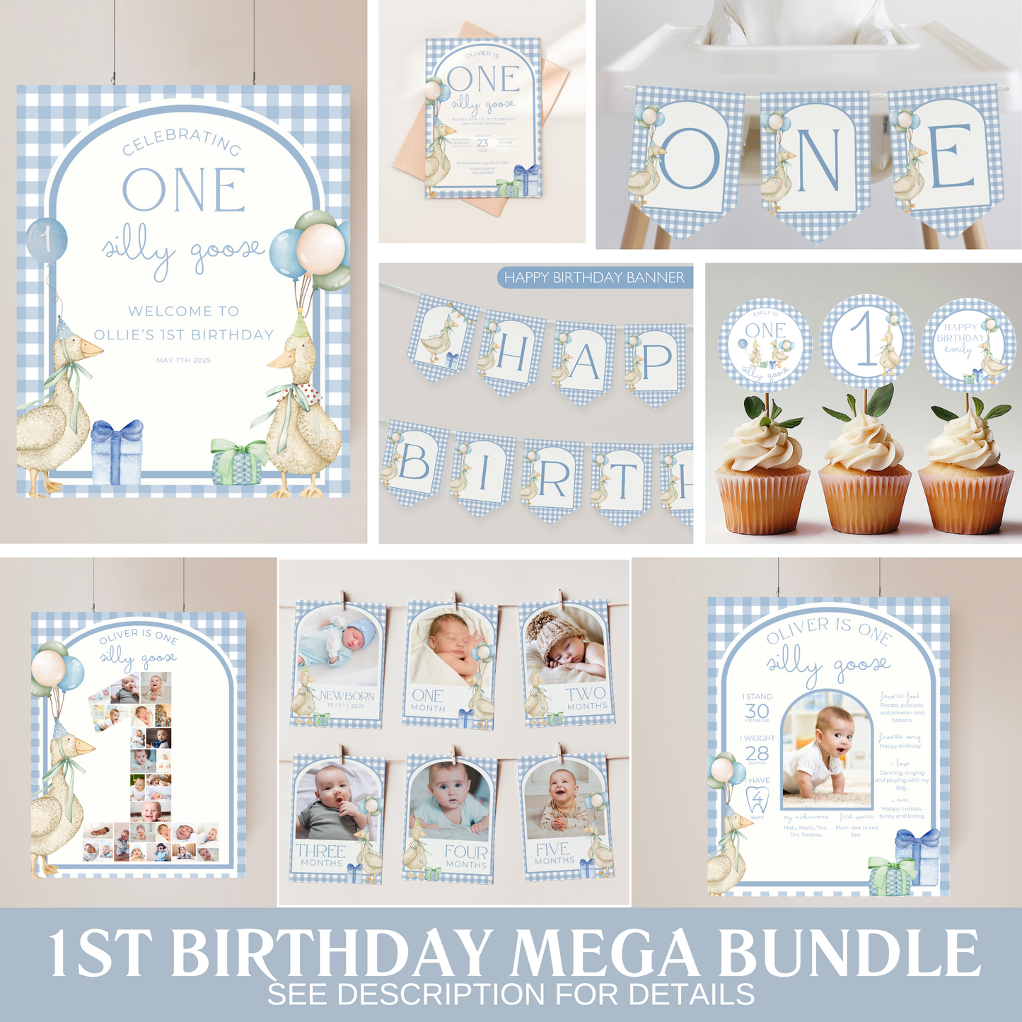 One Silly Goose Birthday Bundle Blue Gingham
