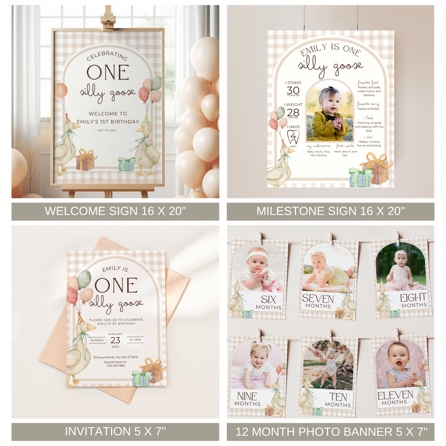 One Silly Goose 1st Birthday Bundle