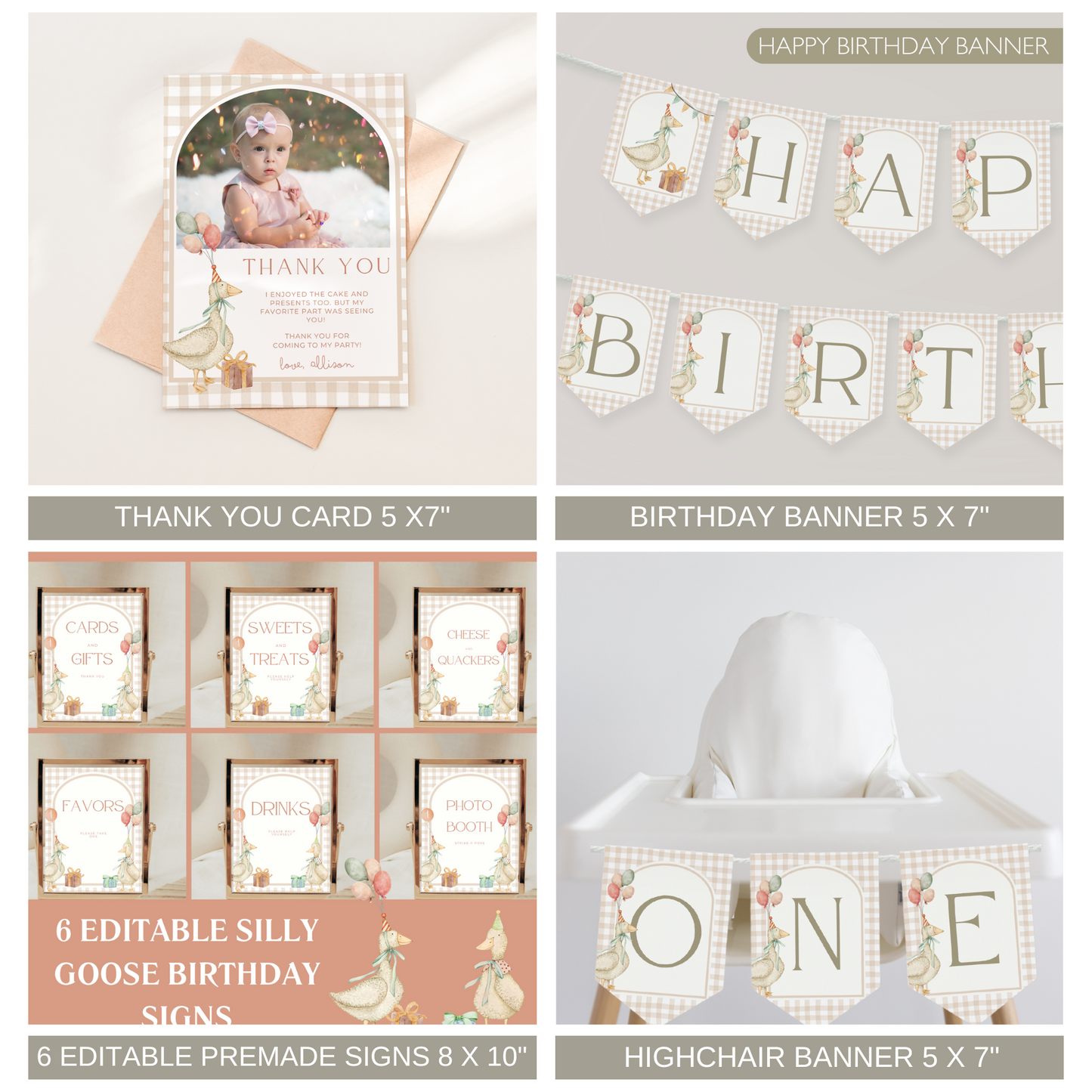 One Silly Goose 1st Birthday Bundle