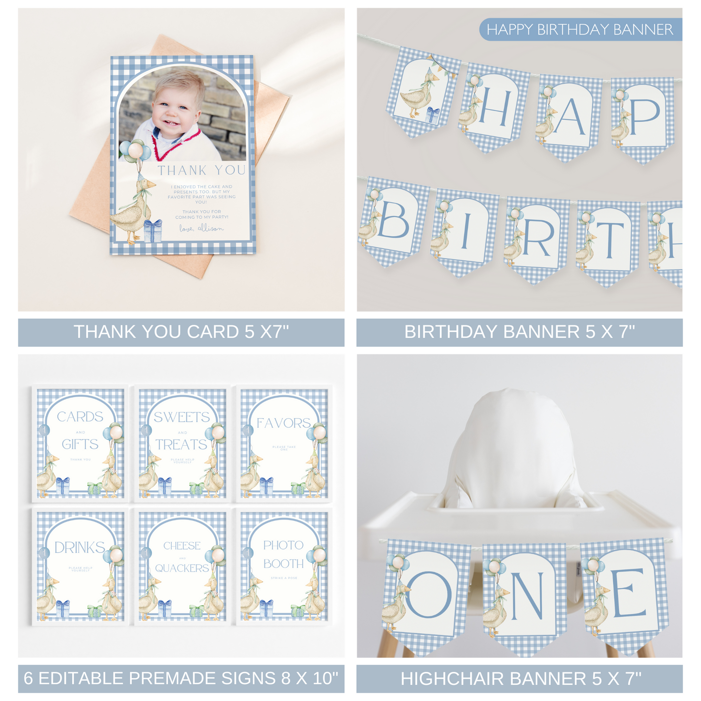 One Silly Goose Birthday Bundle Blue Gingham