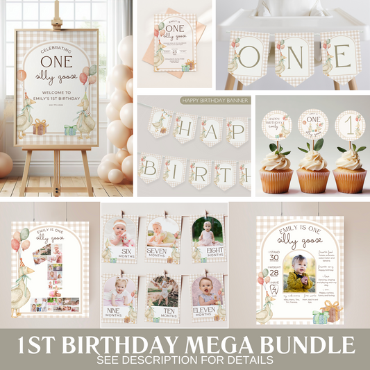 One Silly Goose 1st Birthday Bundle