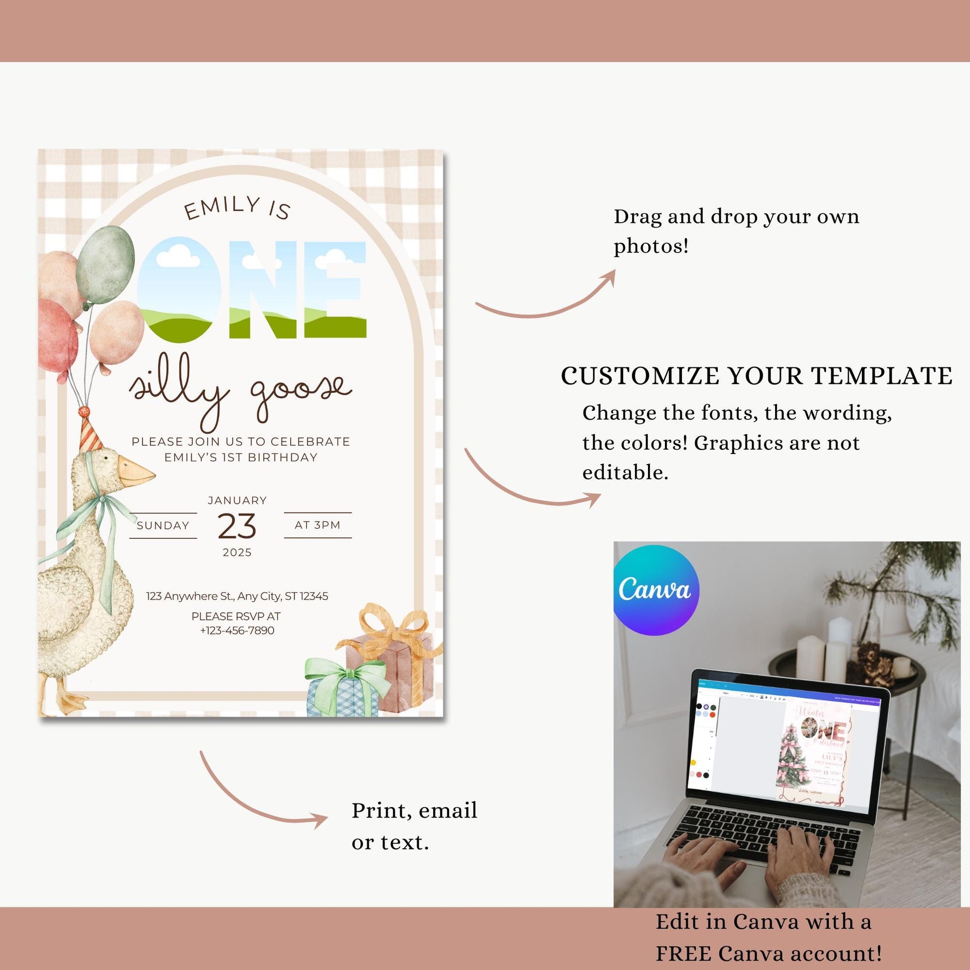 Silly Goose Birthday, 1St Birthday Invite, Digital Invite, Silly Goose Party, Editable Template, Silly Goose Theme, Canva Template, Girl 1St Birthday, First Birthday Party, Goose 1St Birthday, Boy First Birthday, Girl One Silly Goose Instant Download