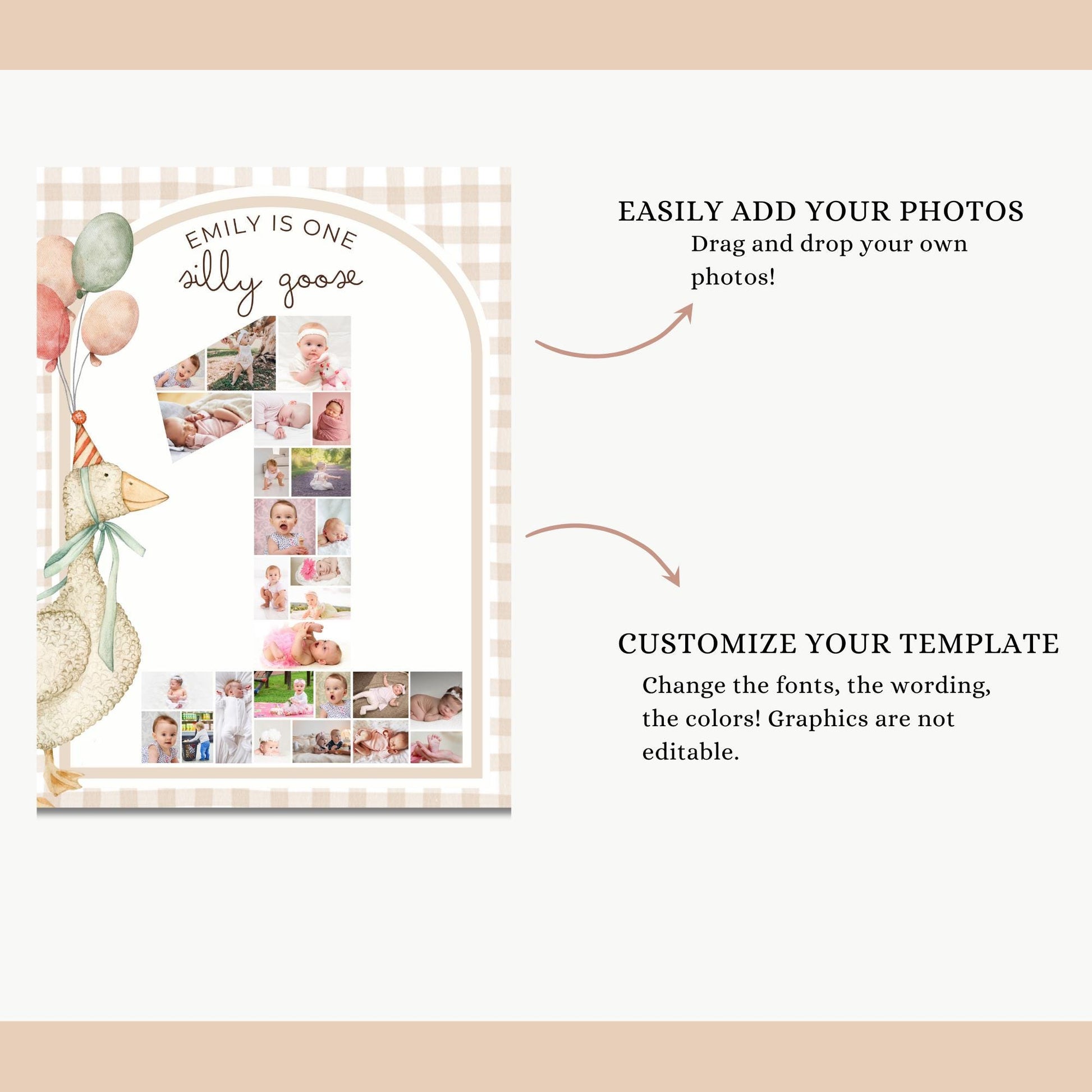 One Silly Goose Gender Neutral First Birthday Invitation, Silly Goose Invite Natural Retro Theme Nursery Party Decor Printable Template