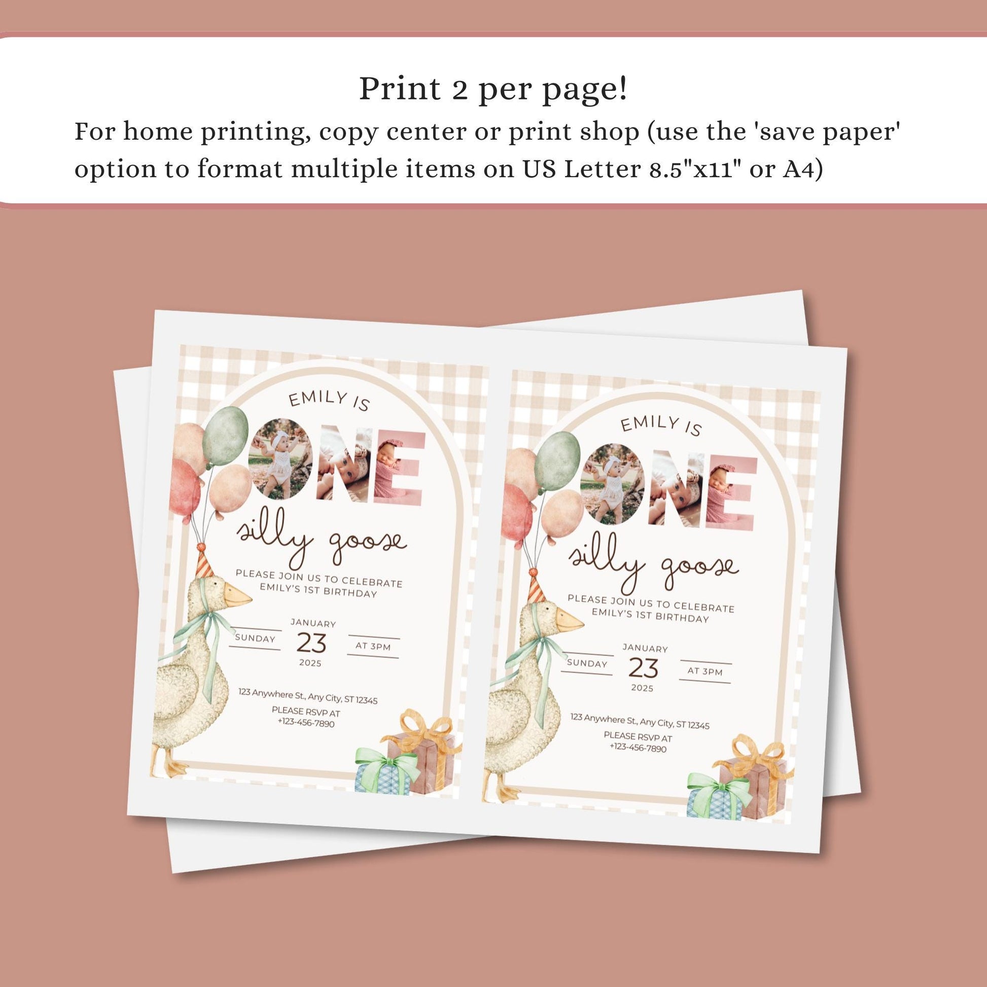 Editable One Silly Goose Birthday Invitation - Cute Goose Design - First Birthday - Instant Download