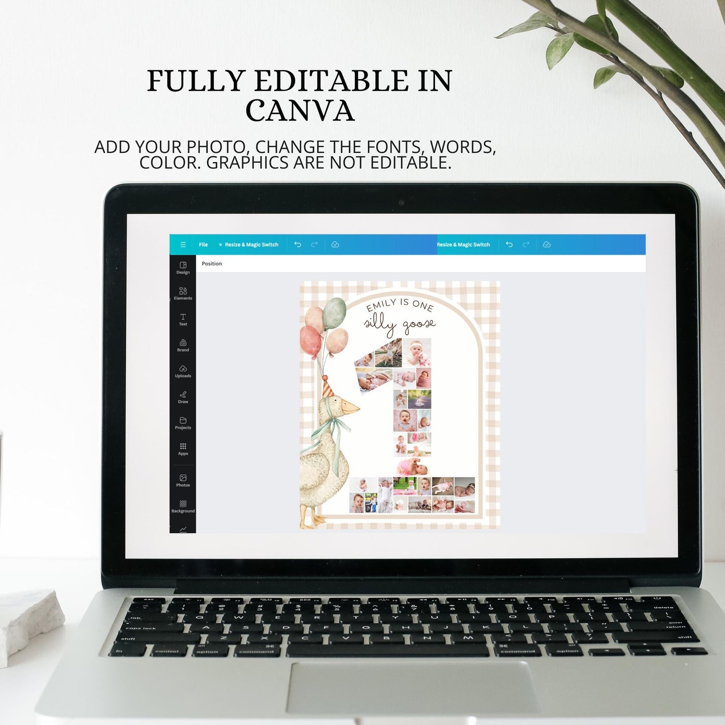 One Silly Goose First Birthday Invitation, Vintage Floral Editable First Birthday Invite, 1st Blush Pink Birthday for Girls, Boho