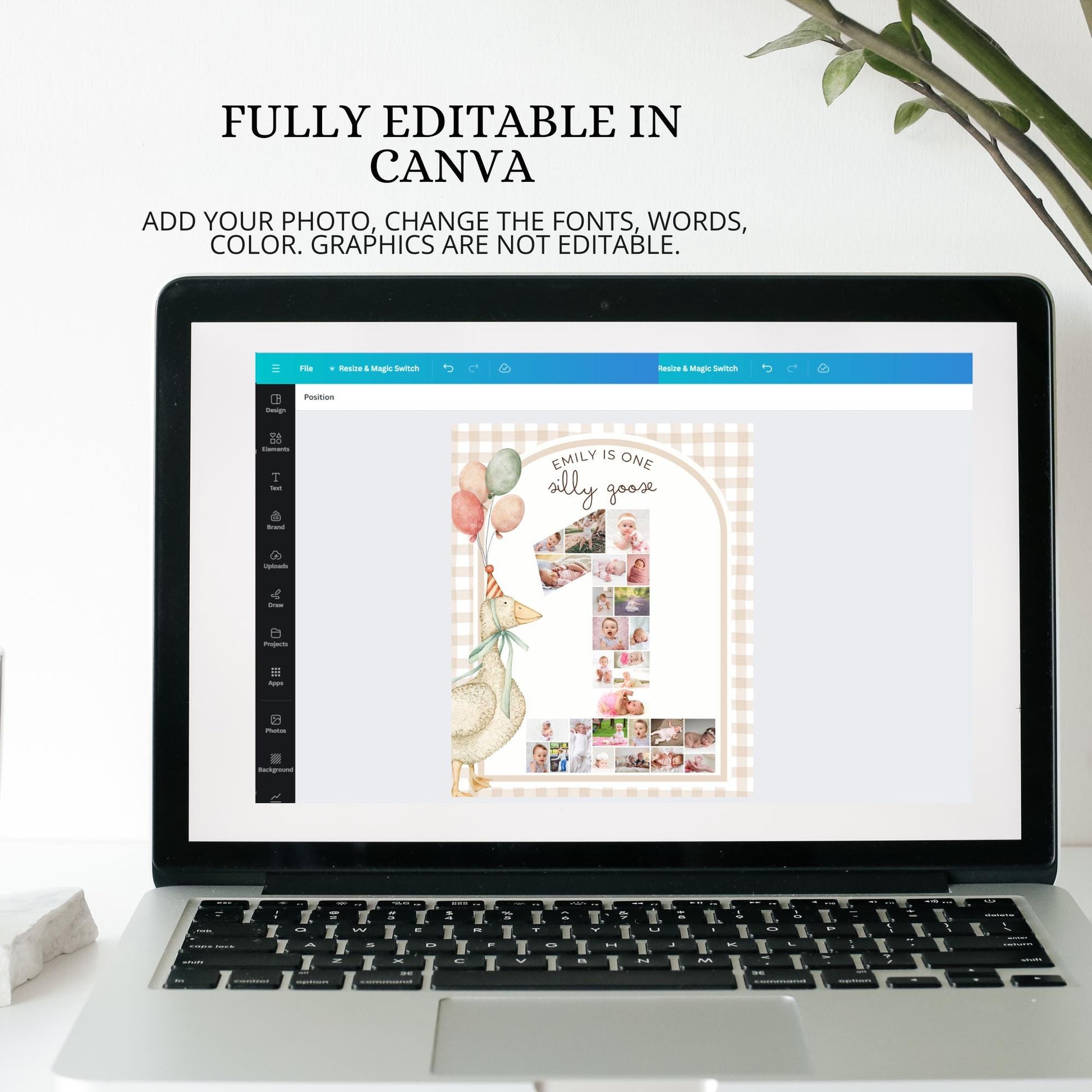 One Silly Goose First Birthday Invitation, Vintage Floral Editable First Birthday Invite, 1st Blush Pink Birthday for Girls, Boho