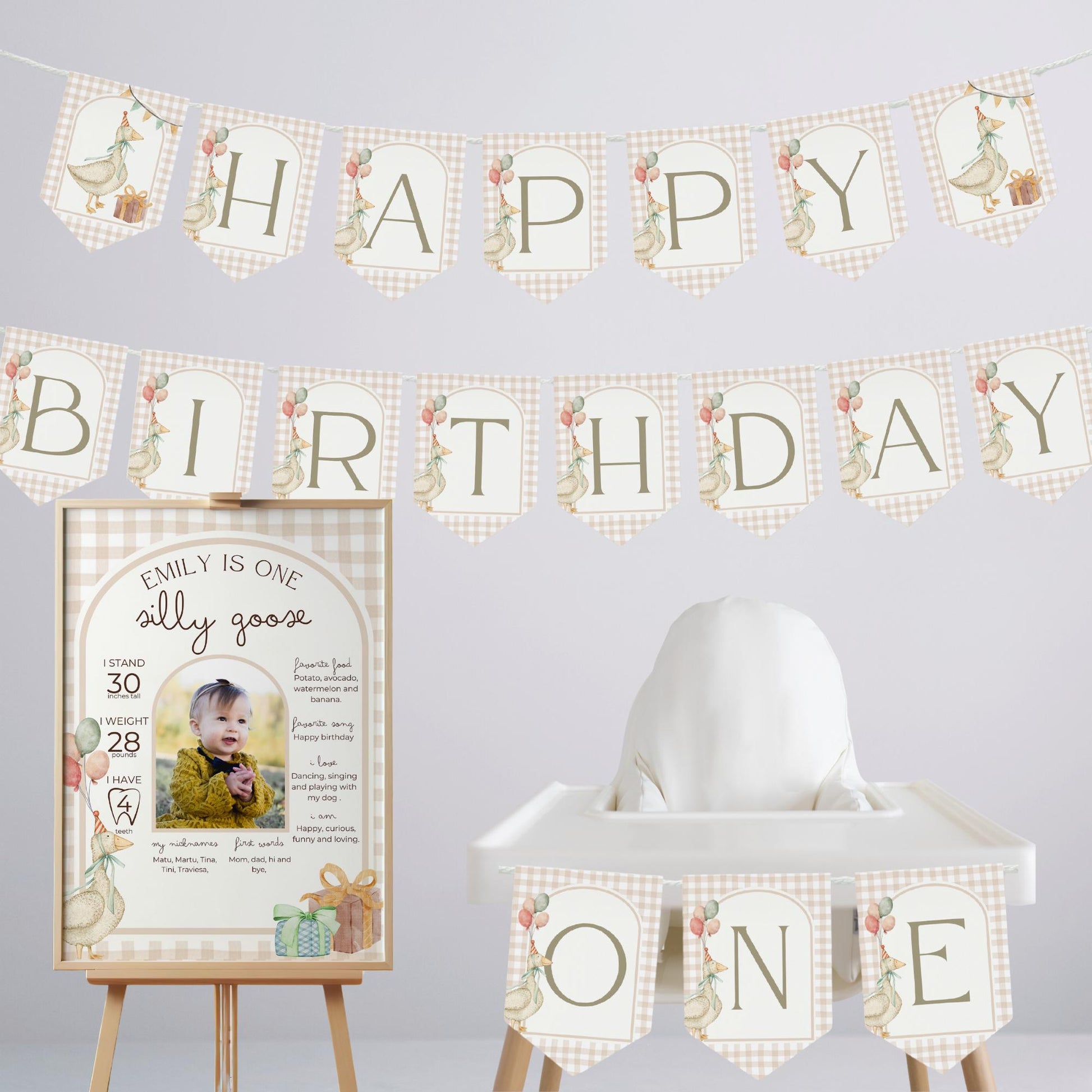 One Silly Goose Birthday Personalized Banner 1st Birthday Silly Goose Party Decor Photo Backdrop Goose Custom Banner First Birthday Ideas