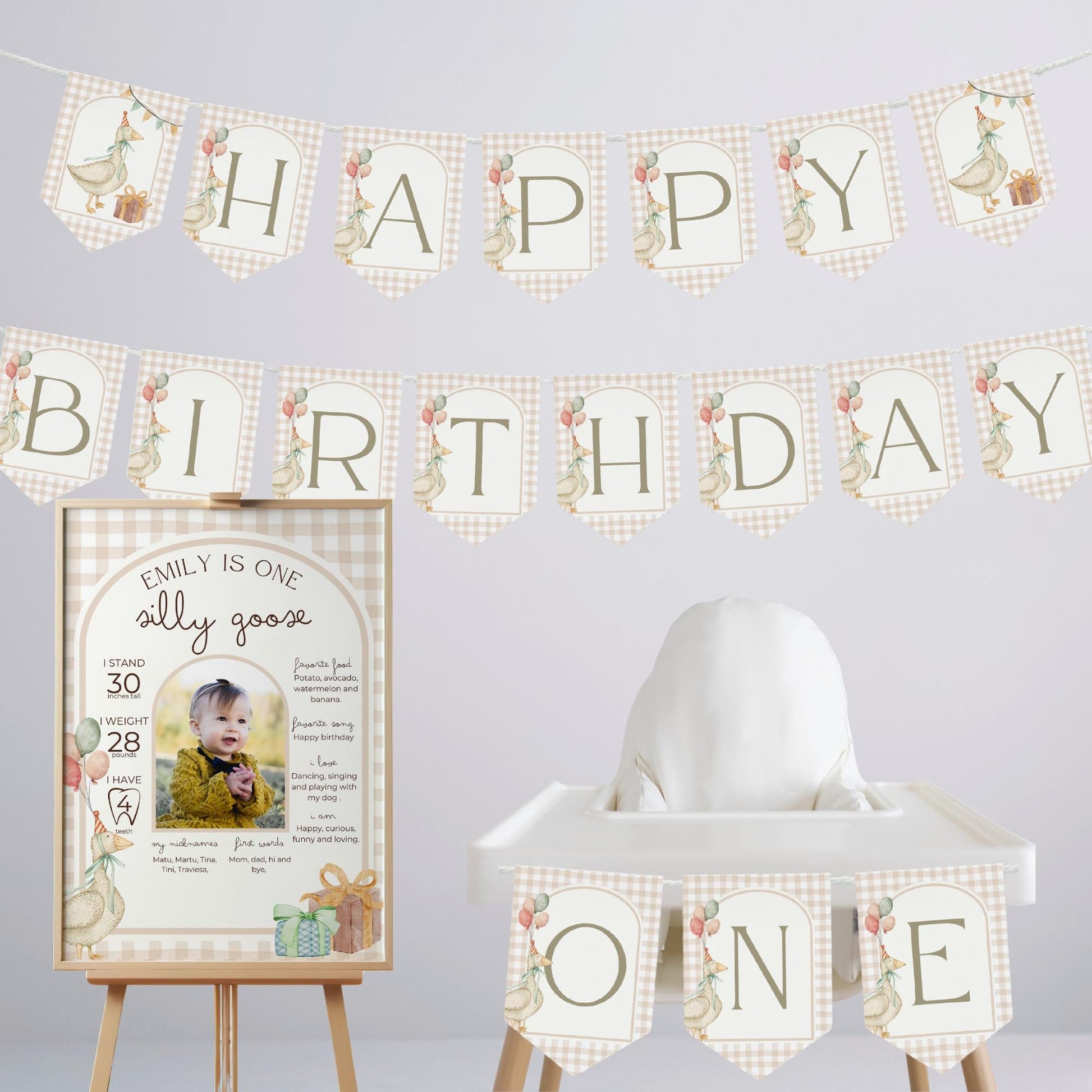 Custom One Silly Goose Banner, Silly Little Goose Birthday Decorations, Goose Theme 1st Birthday Decor Party Supplies Themed