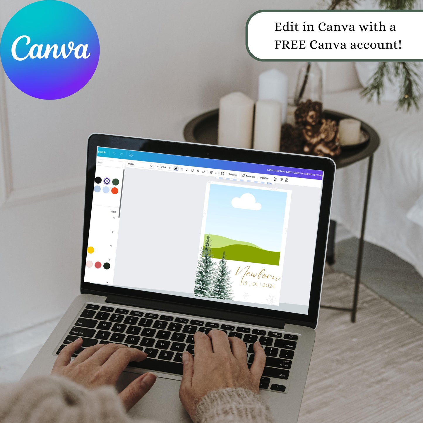 Winter Wonderland Monthly Photo Banner Only, Winter Wonderland Decorations, Snowflake Picture Banner, Winter Onederland First Birthday Party