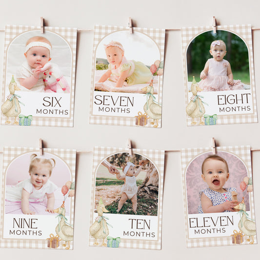 One Silly Goose Birthday Milestone Sign Editable Silly Goose Party Monthly Banner 1st Birthday Photo Banner Milestone photo sign