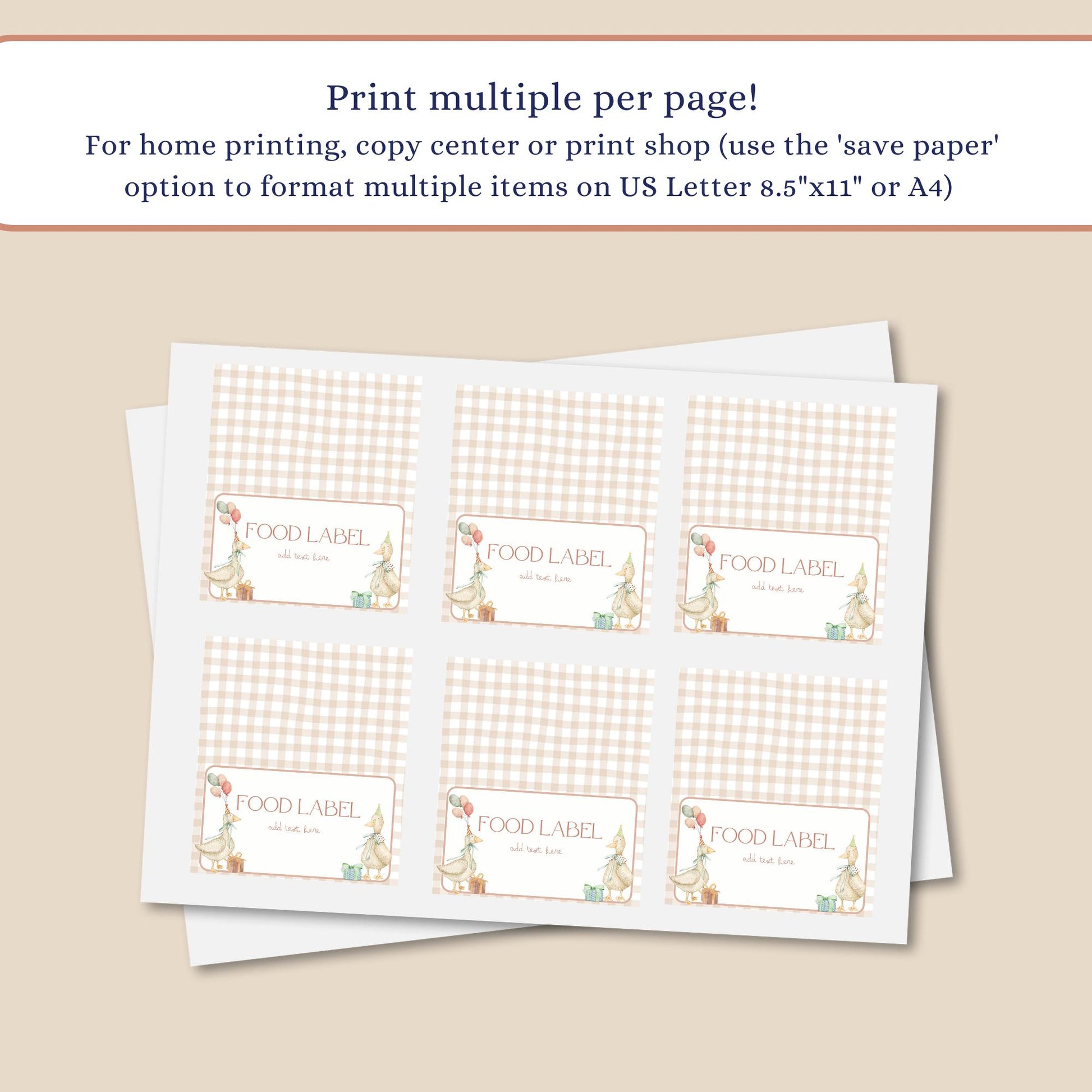 EDITABLE One Silly Goose Party Food Tent Card, Silly Goose Birthday Food Name Card, Boy Birthday Decoration, Printable