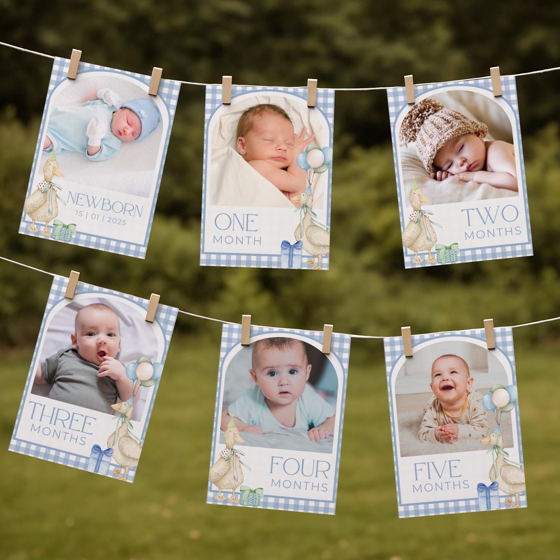 One Silly Goose Birthday Photo Milestone Banner Goose 1st Birthday Bunting Banner Editable Template Monthly Milestone Photo Collage Decor