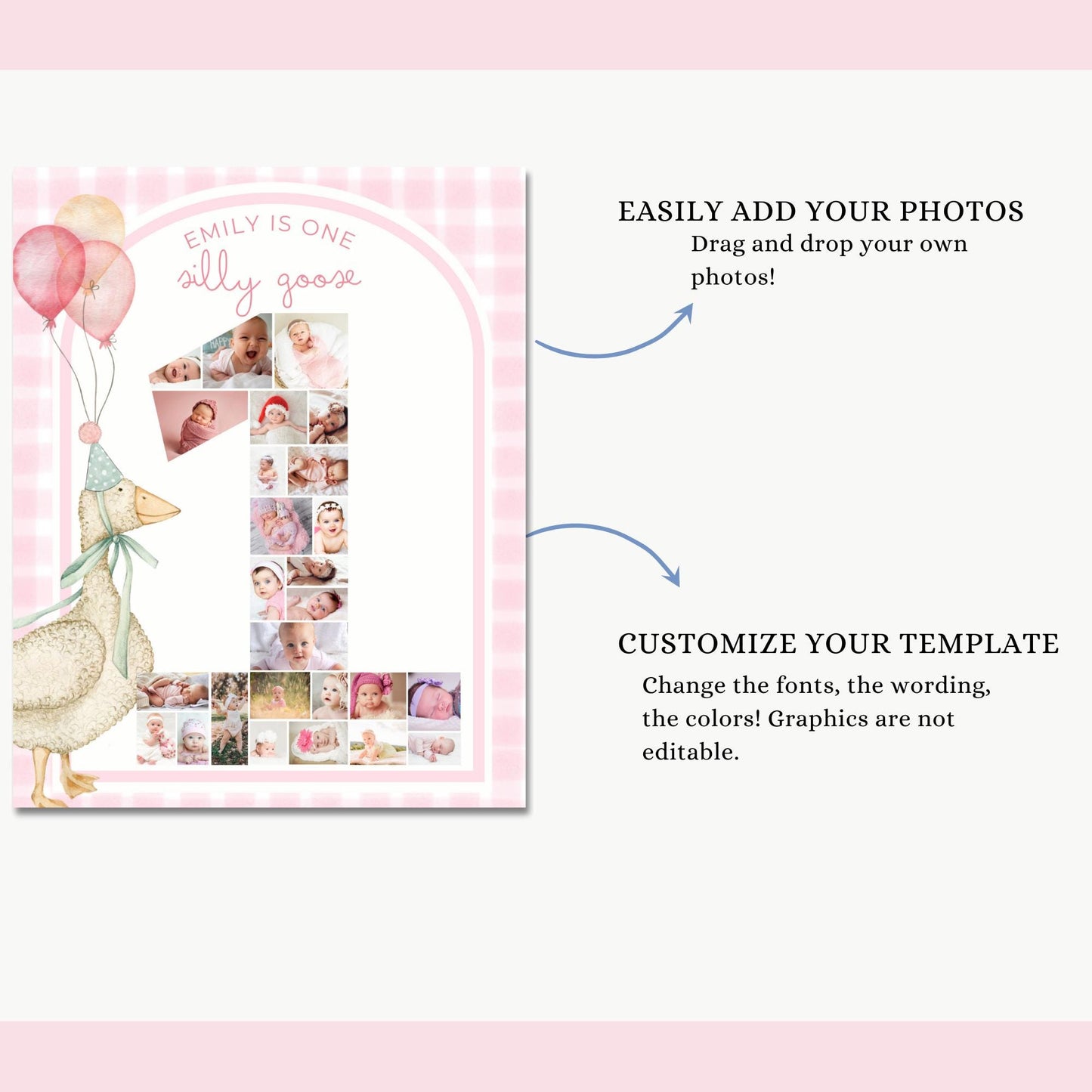 One Silly Goose Birthday Sign Photo Collage Editable Silly Goose Party Monthly Banner 1st Birthday Photo Banner Milestone photo sign