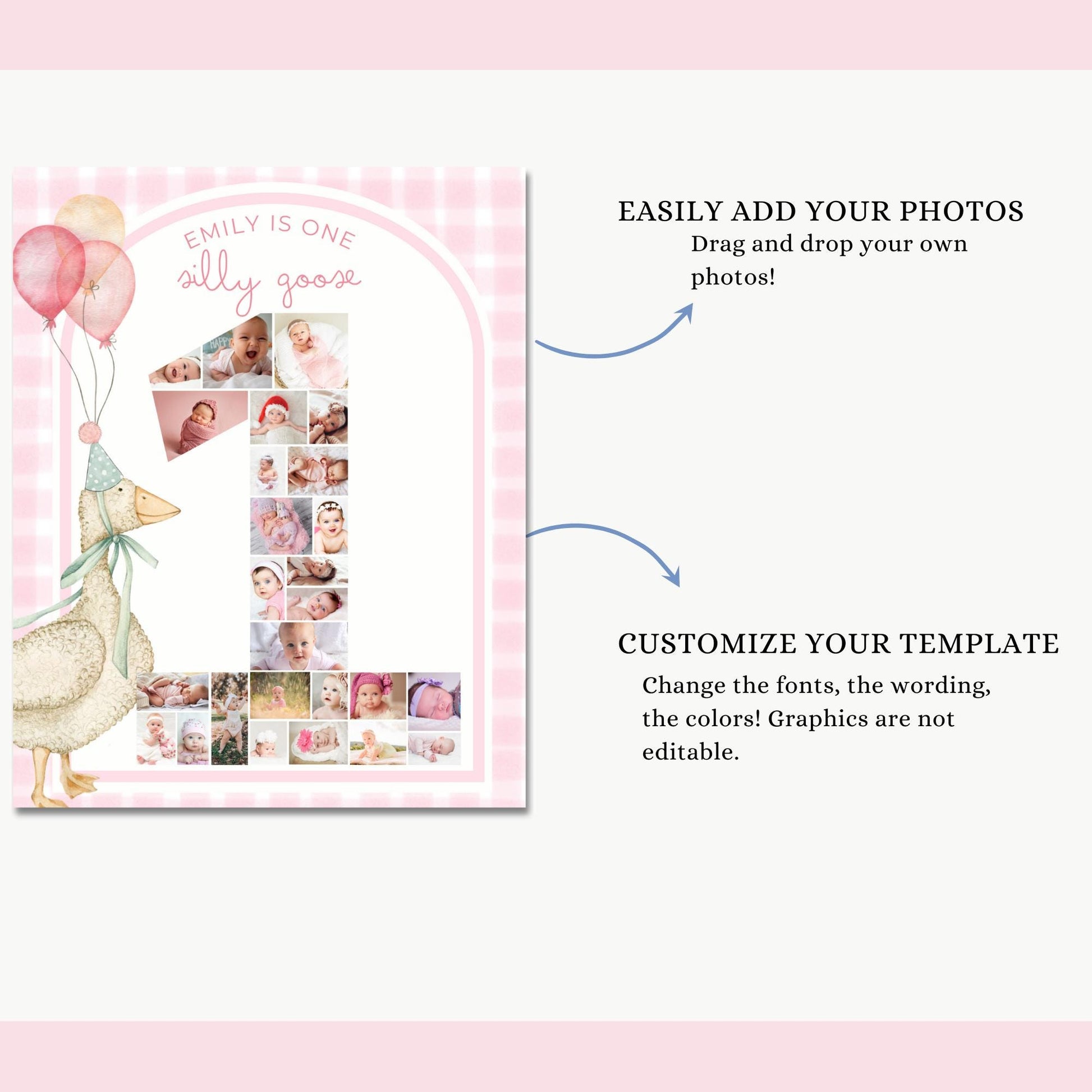 One Silly Goose Birthday Sign Photo Collage Editable Silly Goose Party Monthly Banner 1st Birthday Photo Banner Milestone photo sign