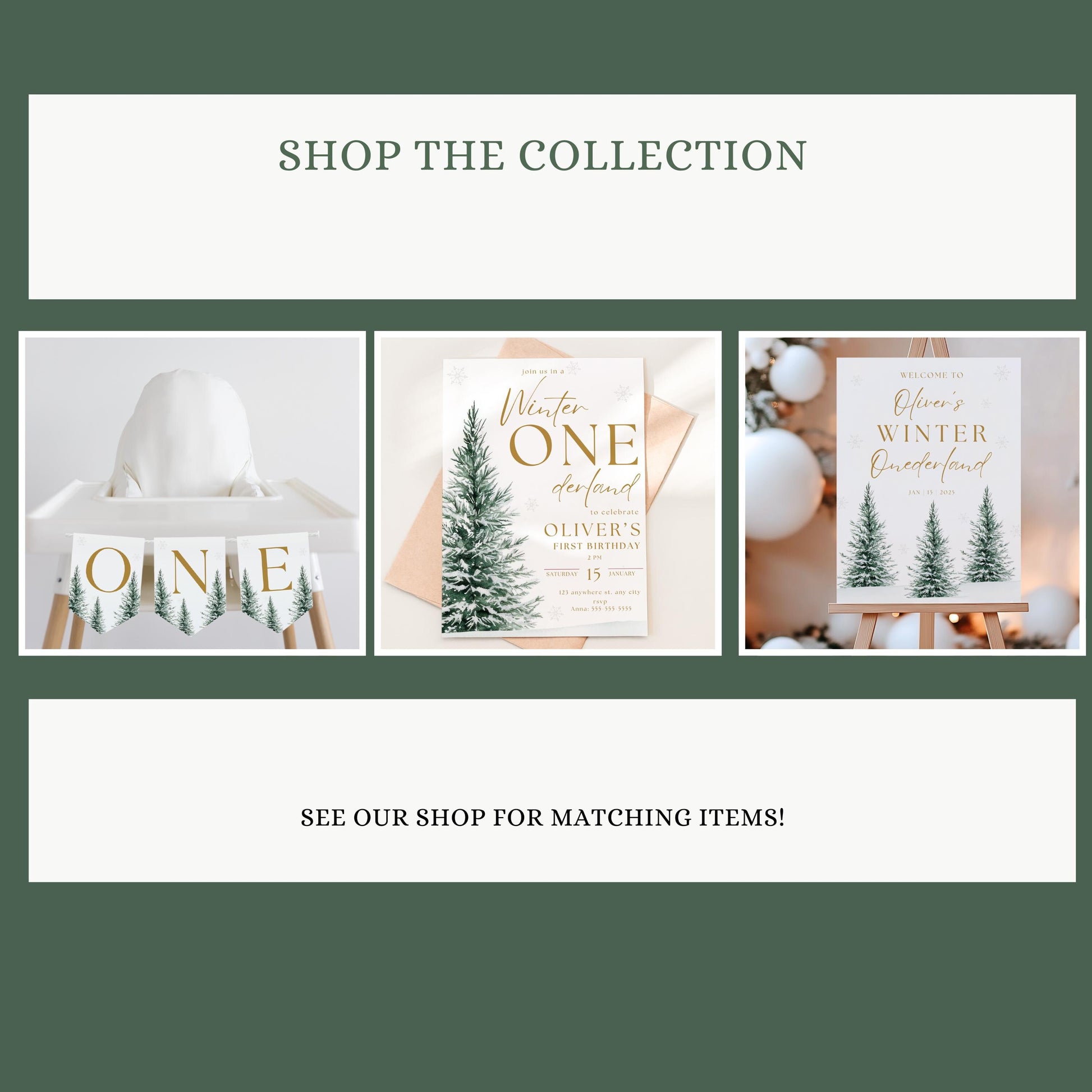 Winter Wonderland Monthly Photo Banner Only, Winter Wonderland Decorations, Snowflake Picture Banner, Winter Onederland First Birthday Party