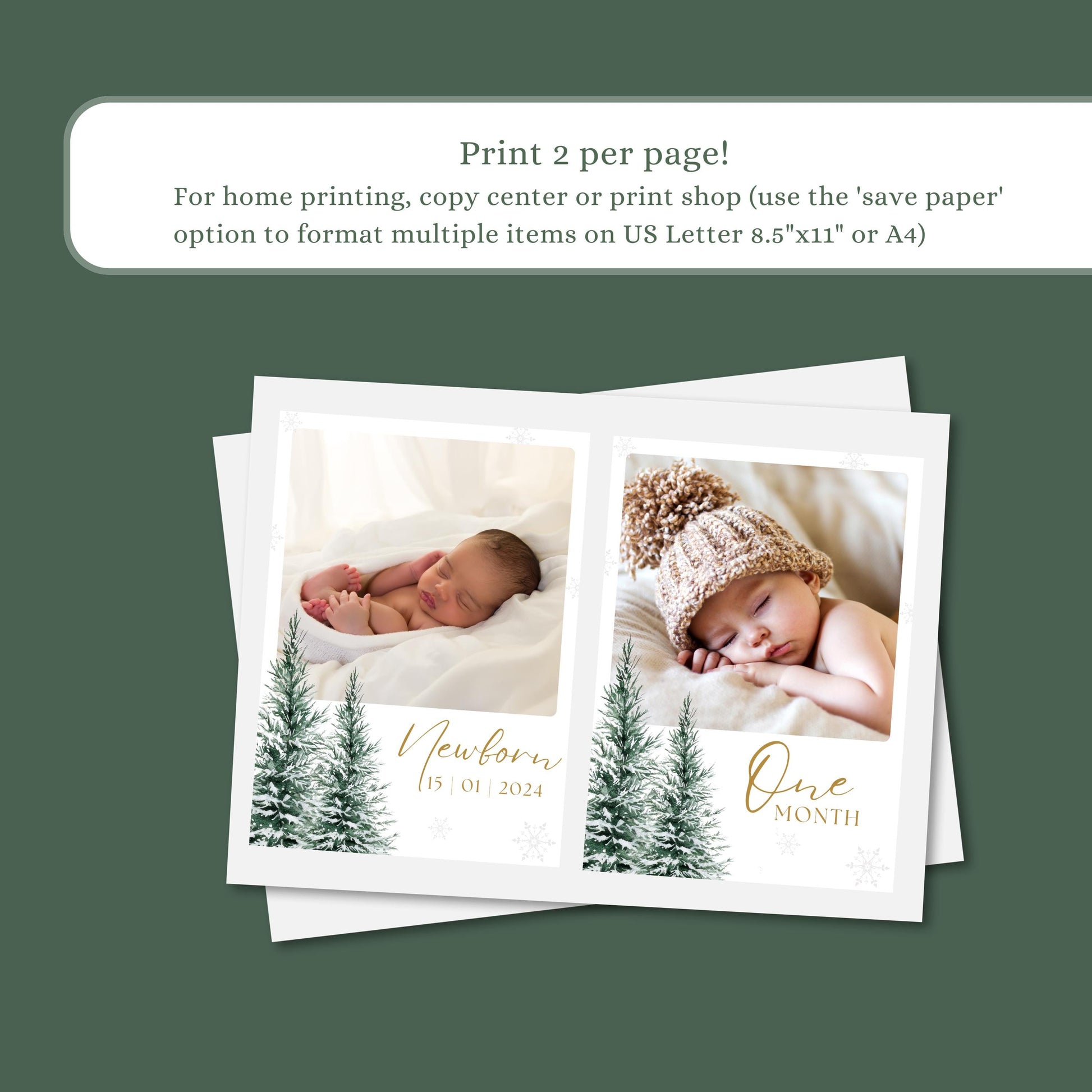 Winter Wonderland Monthly Photo Banner Only, Winter Wonderland Decorations, Snowflake Picture Banner, Winter Onederland First Birthday Party