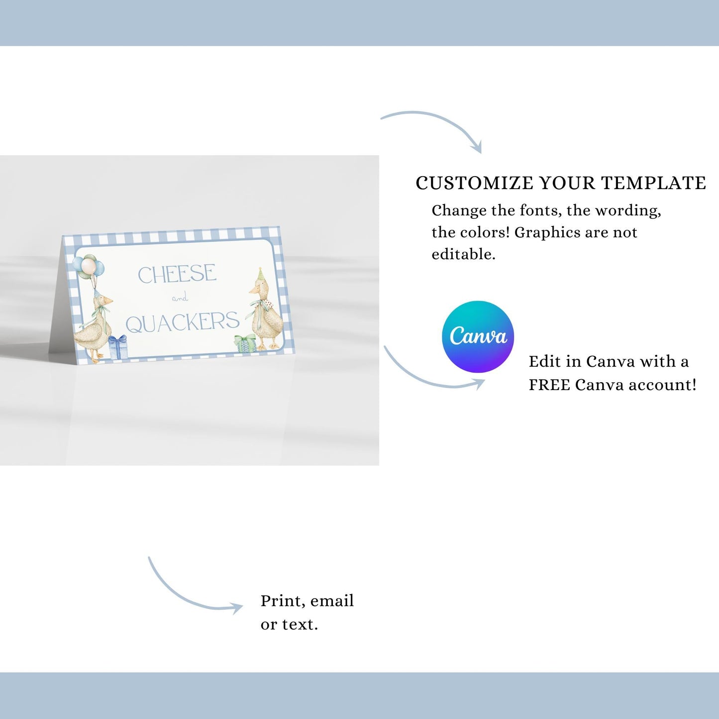 Silly Goose 1st Birthday Buffet Labels Goose 1st Birthday Place Cards First Birthday Food Labels One Lucky Duck Birthday Goose Baby Shower