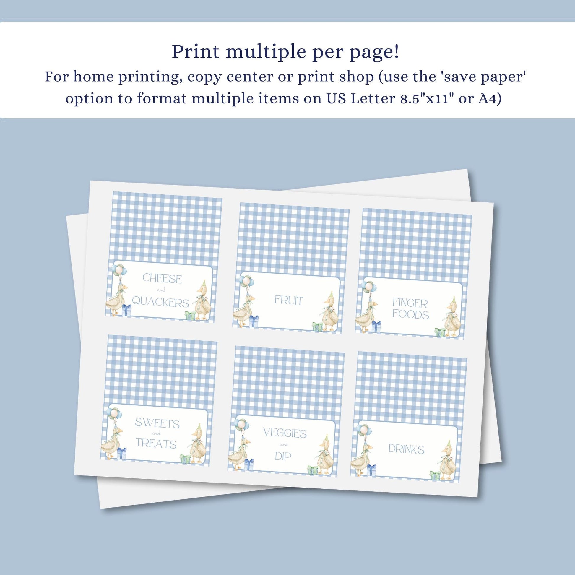 Silly Goose 1st Birthday Buffet Labels Goose 1st Birthday Place Cards First Birthday Food Labels One Lucky Duck Birthday Goose Baby Shower